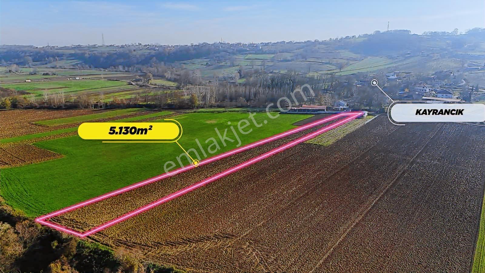Gelişmekte Olan Bölgede 5130m2 Yatırımlık Fırsat Tarla - Görsel 4