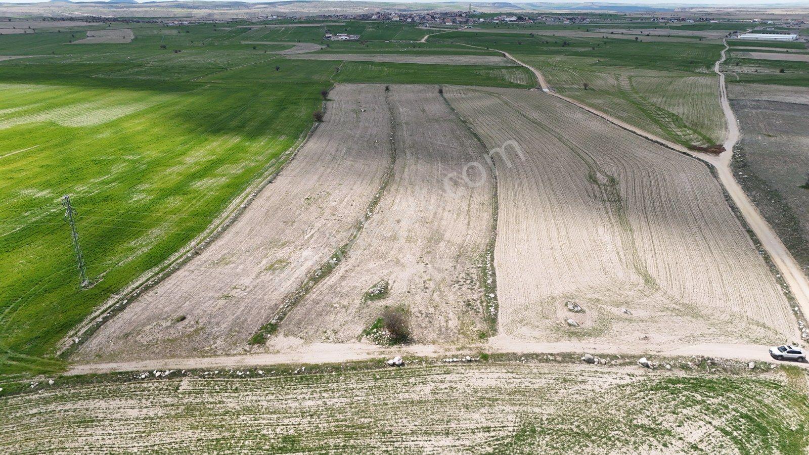 Güzelyurt'ta Ihlara Vadisine Komşu Yatırım Fırsatı-11400 M²