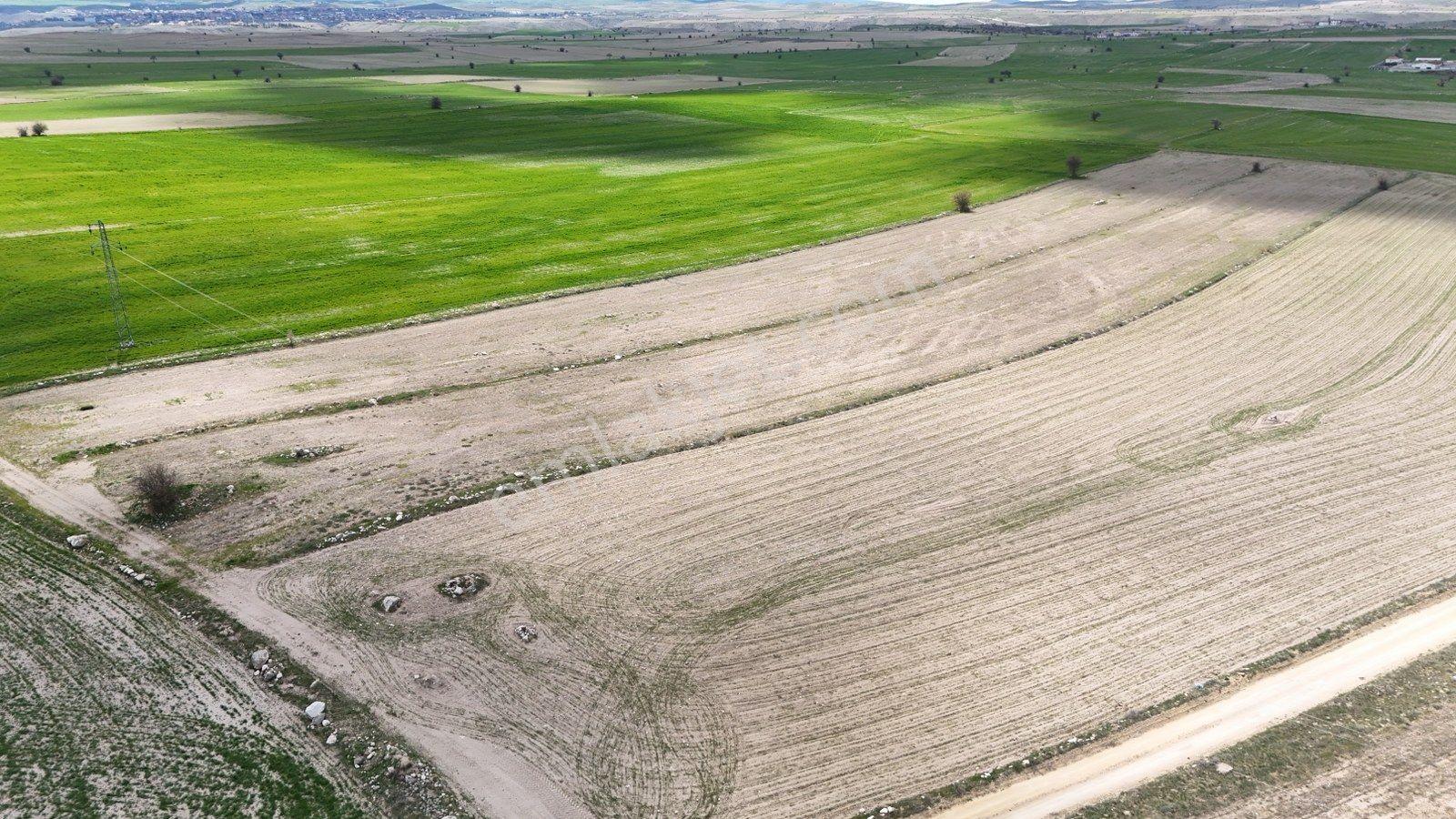 Güzelyurt'ta Ihlara Vadisine Komşu Yatırım Fırsatı-11400 M² - Görsel 2