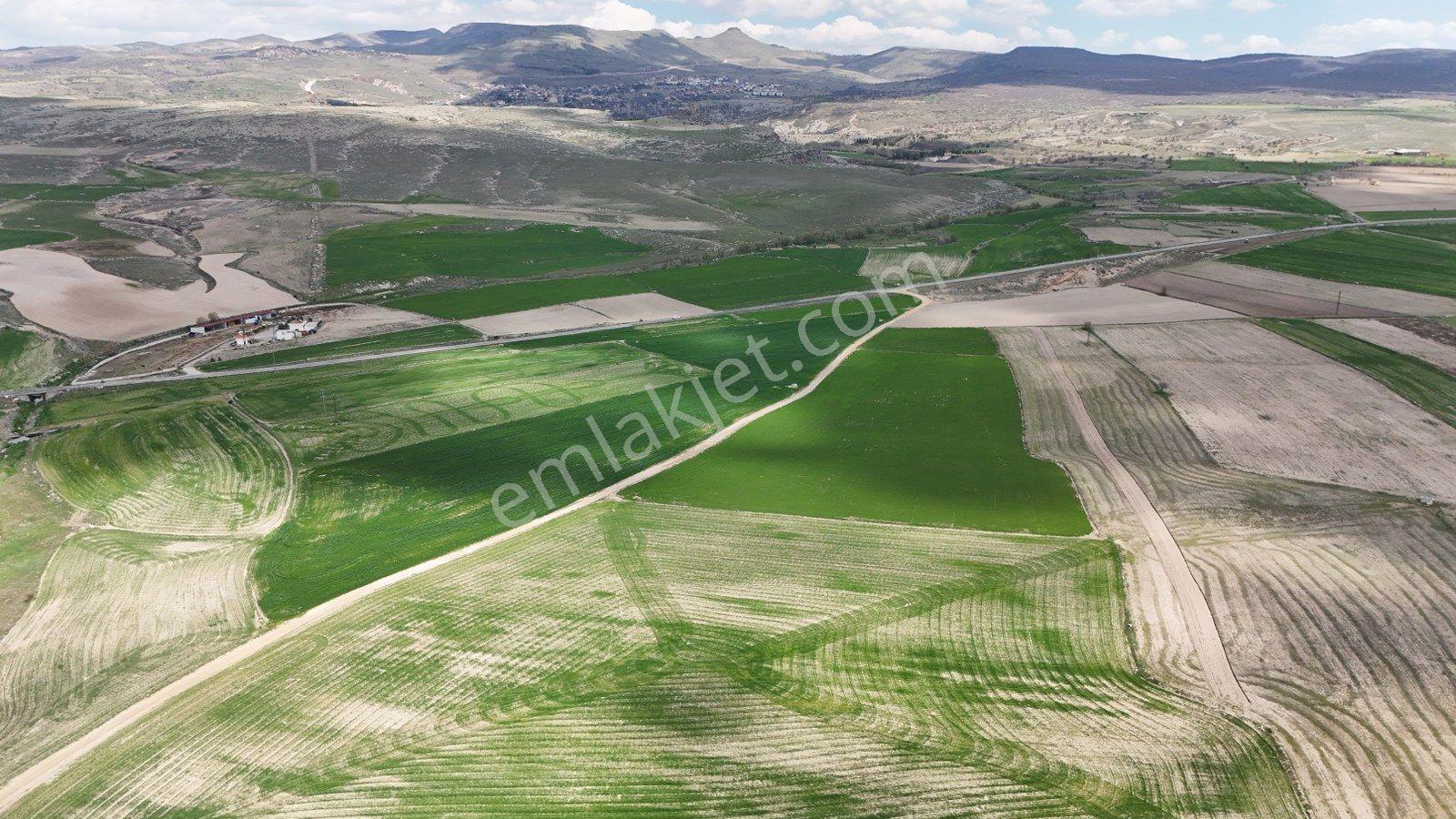 Güzelyurt'ta Ihlara Vadisine Komşu Yatırım Fırsatı-11400 M² - Görsel 4