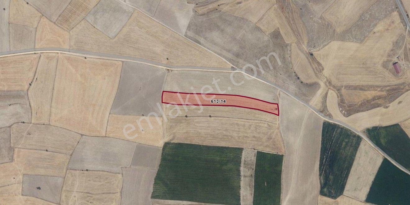 Güzelyurt'ta Ihlara Vadisine Komşu Yatırım Fırsatı-11400 M² - Görsel 8