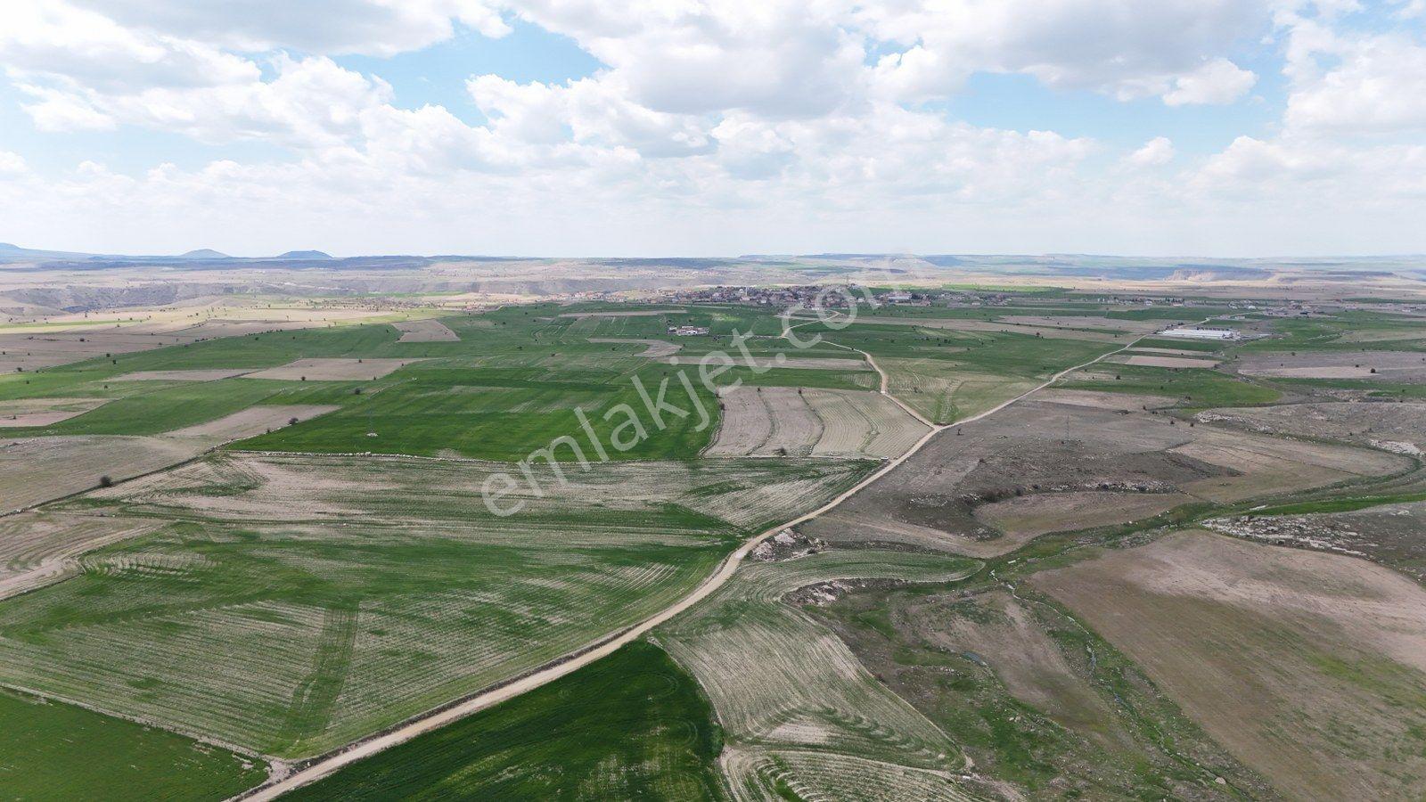 Güzelyurt'ta Ihlara Vadisine Komşu Yatırım Fırsatı-11400 M² - Görsel 6