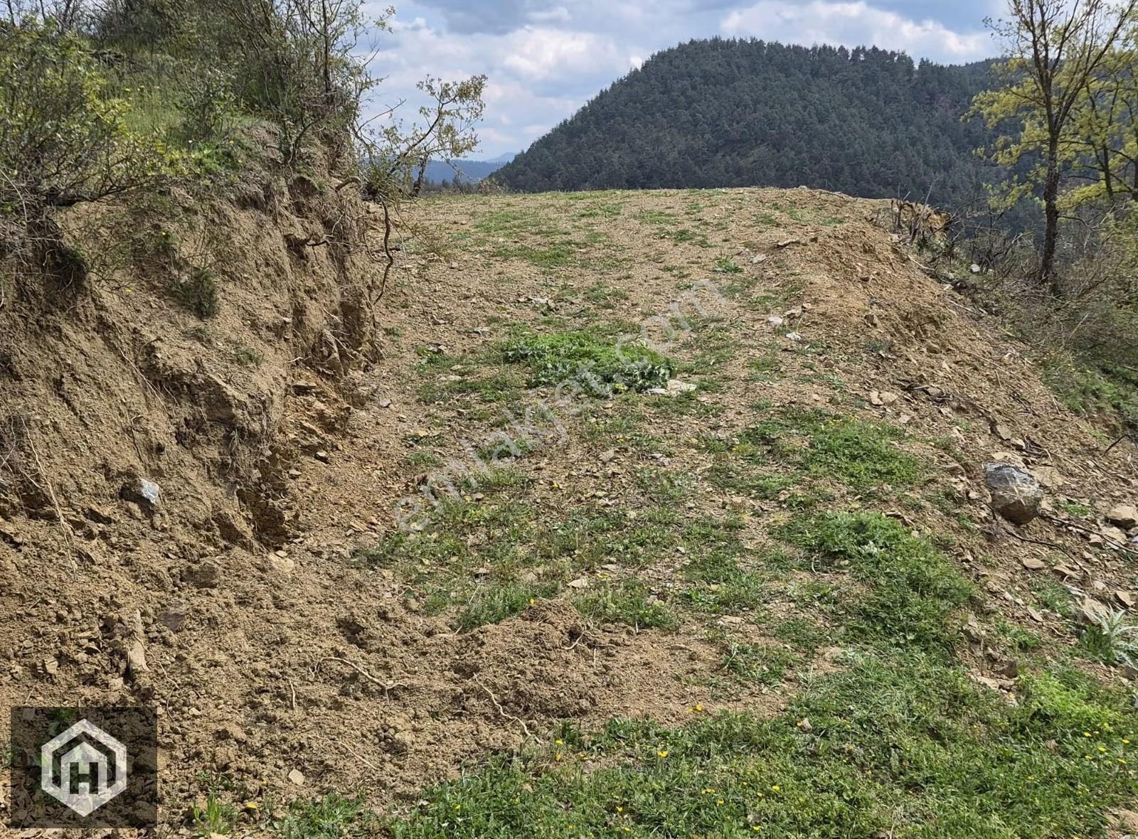 Bursa Orhaneli Çınarcık Mh Satılık 340mt2 Göl Manzaralı Bağ - Görsel 9