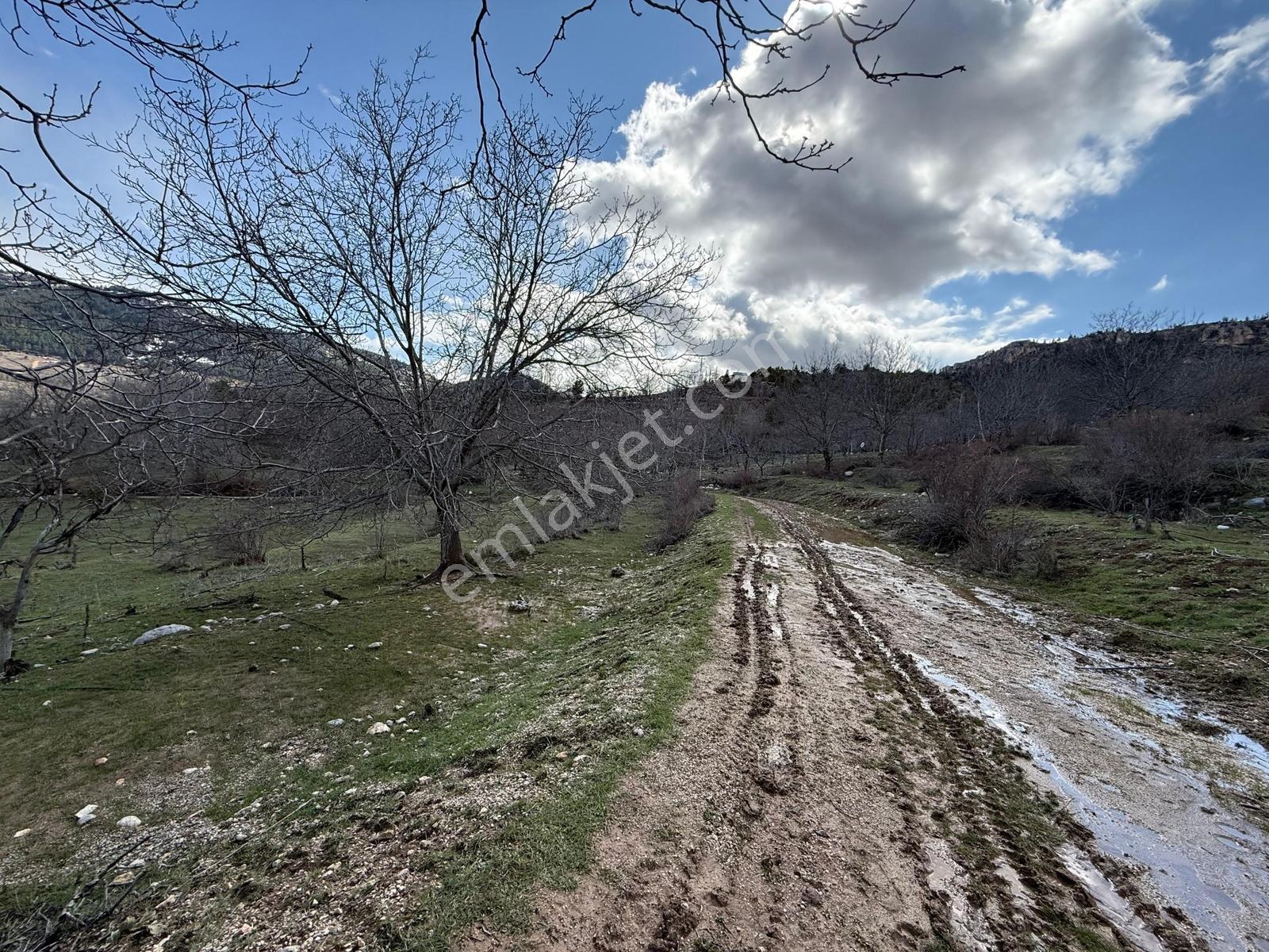 Bolkar Emlaktan Arslanköyde 762 M² Tek Tapulu Fırsat Arsa - Görsel 2