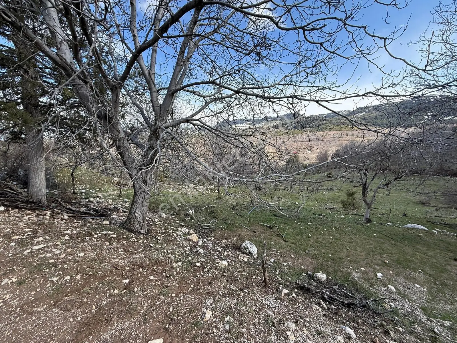 Bolkar Emlaktan Arslanköyde 762 M² Tek Tapulu Fırsat Arsa