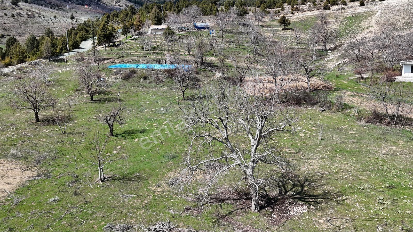 Bolkardan Kaçmaz Fırsat Arazi - Görsel 33
