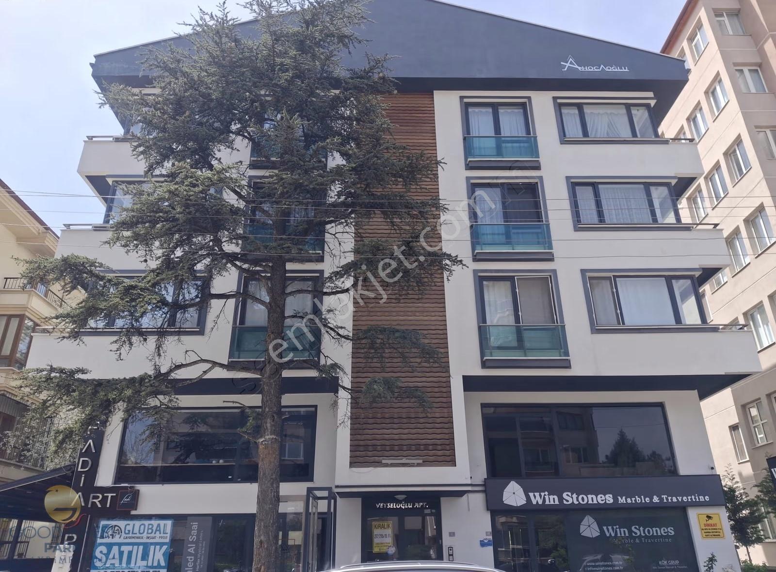 Şehir Merkezinde Kiralık Eşyalı 1+1 Daire Konforlu Yaşam Fırsatı