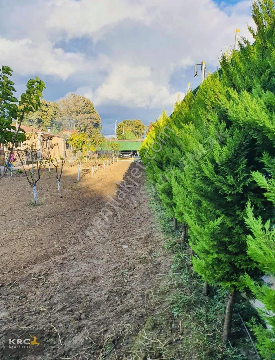Satılık Arsa Çatalça Binkıkıç Ayazma Mevki Fatih Mah 1650 M2 - Görsel 9