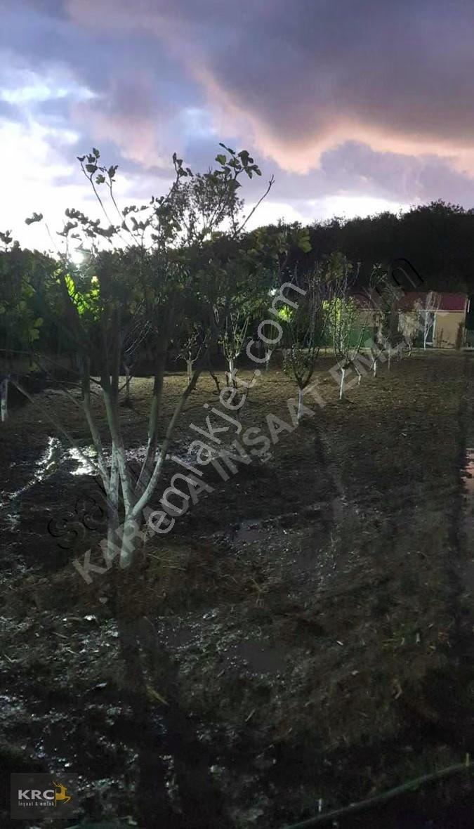 Satılık Arsa Çatalça Binkıkıç Ayazma Mevki Fatih Mah 1650 M2 - Görsel 22