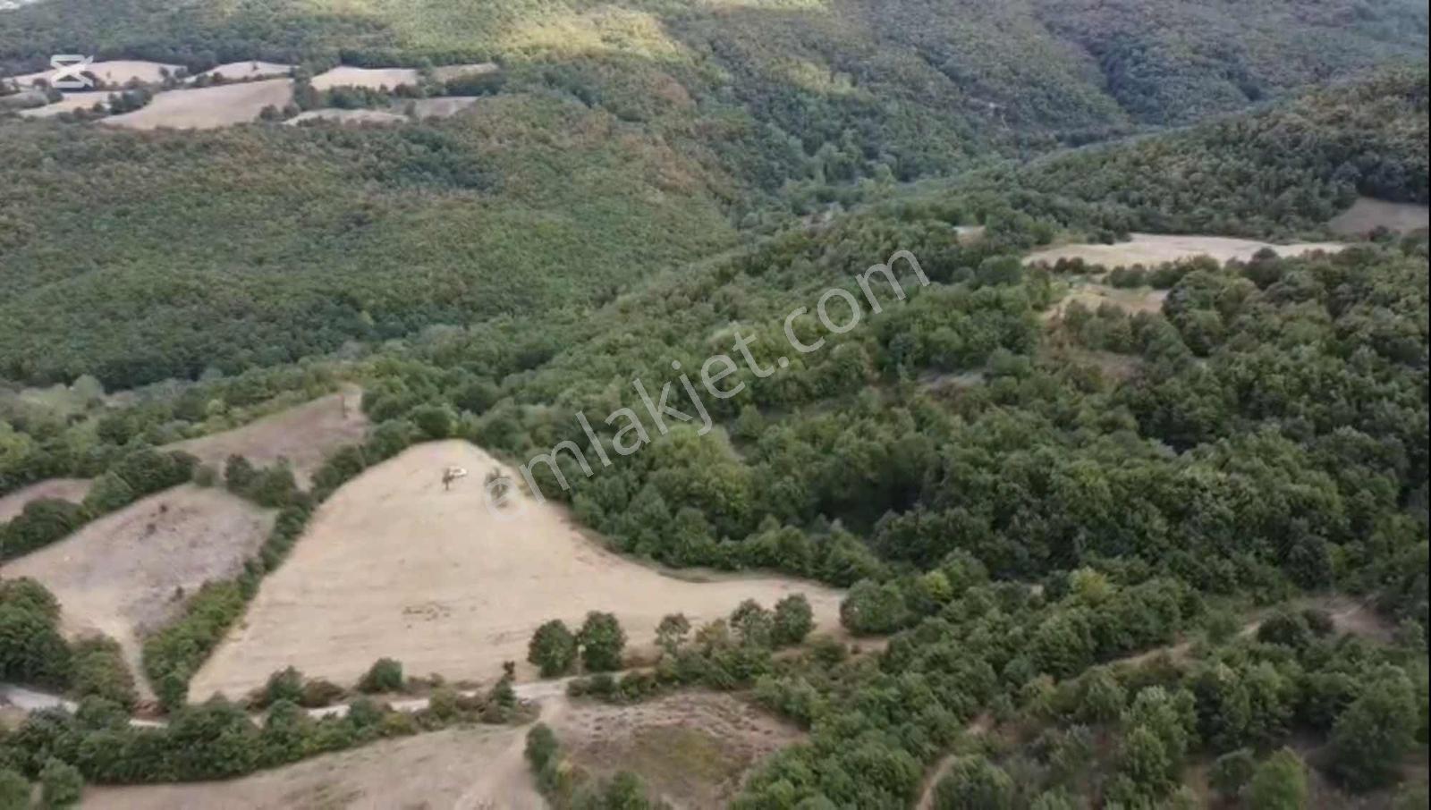 Öztarlacıdan Akarca Mahallesi 7400m² Turizm İmarlı - Görsel 14