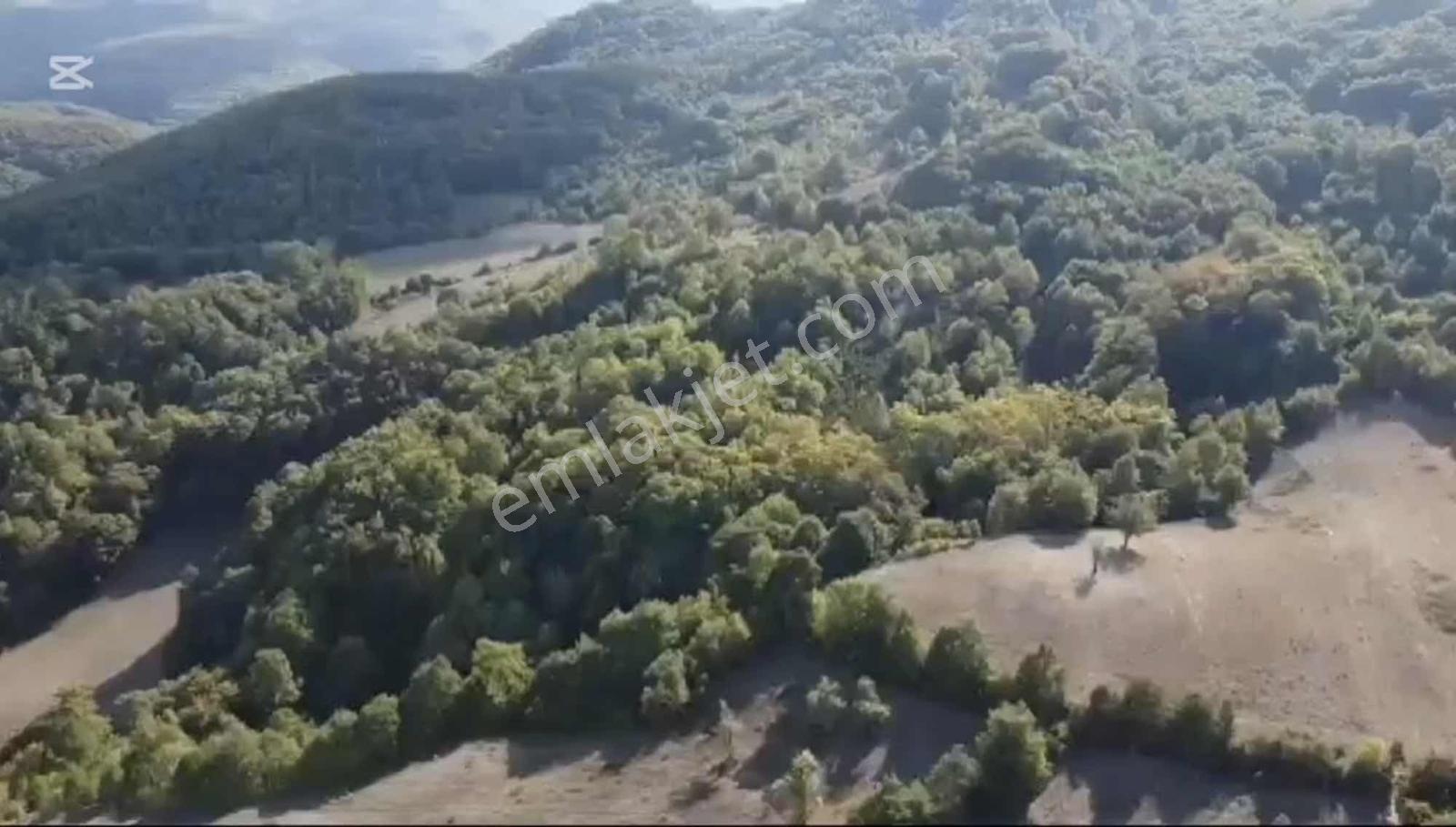 Öztarlacıdan Akarca Mahallesi 7400m² Turizm İmarlı - Görsel 4