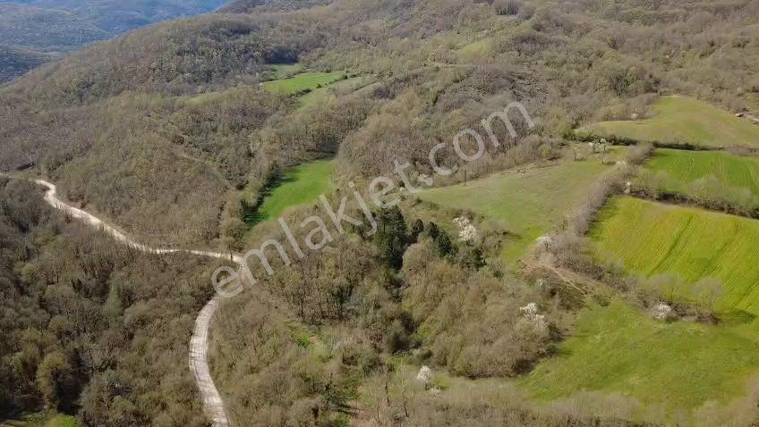 Öztarlacıdan Akarca Mahallesi 7400m² Turizm İmarlı - Görsel 10