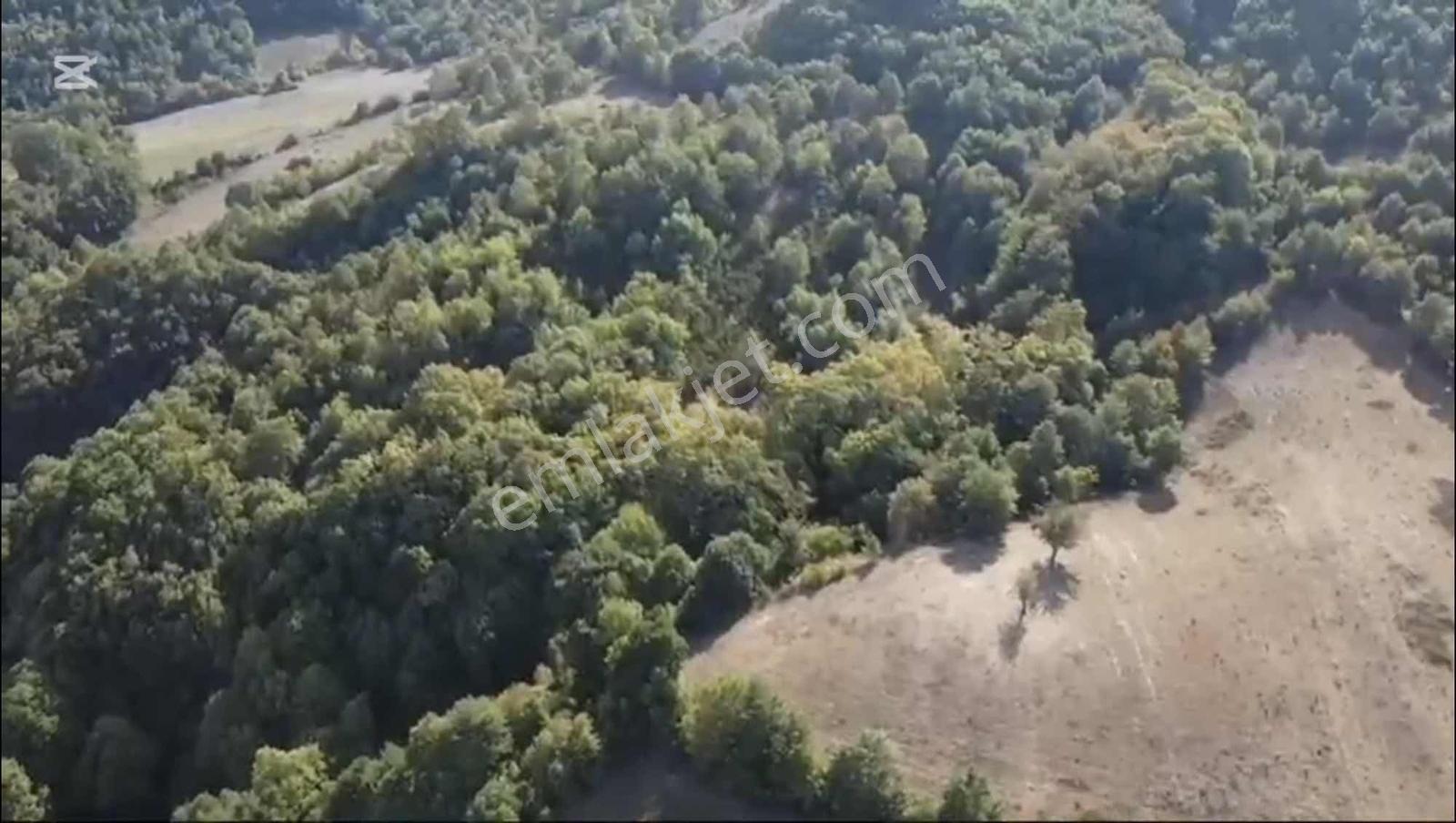 Öztarlacıdan Akarca Mahallesi 7400m² Turizm İmarlı - Görsel 13
