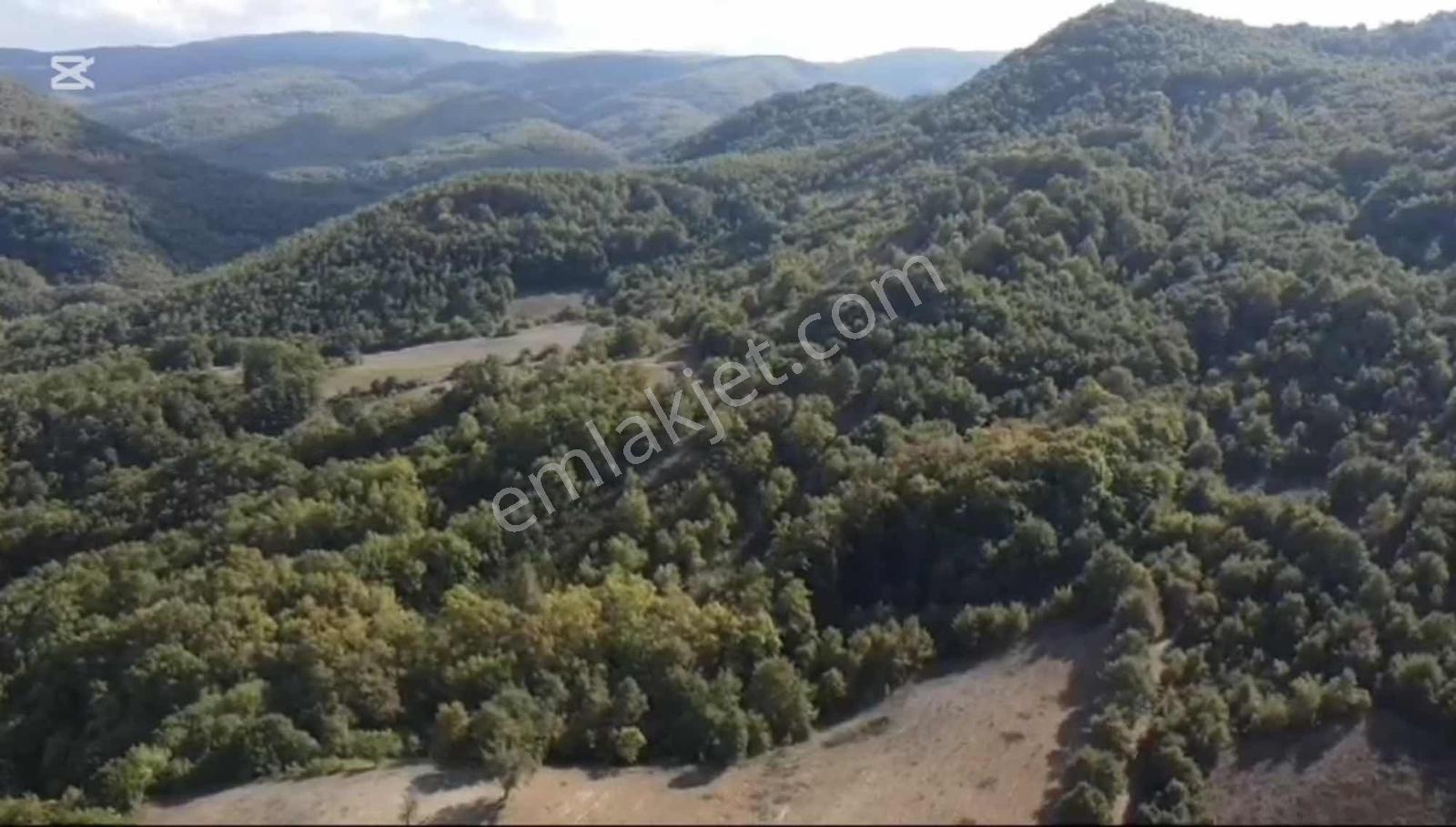 Öztarlacıdan Akarca Mahallesi 7400m² Turizm İmarlı - Görsel 15