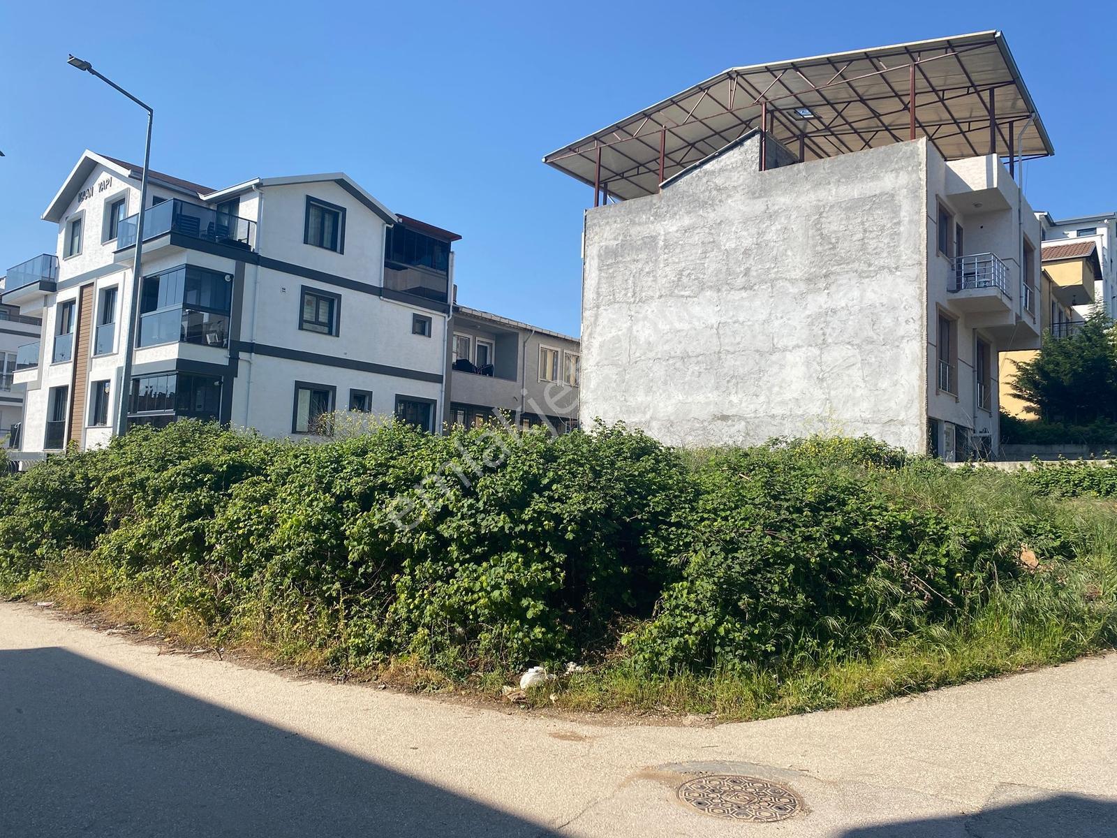 Yunuselinde Köşe Parsel Kupon Arsa - Görsel 6