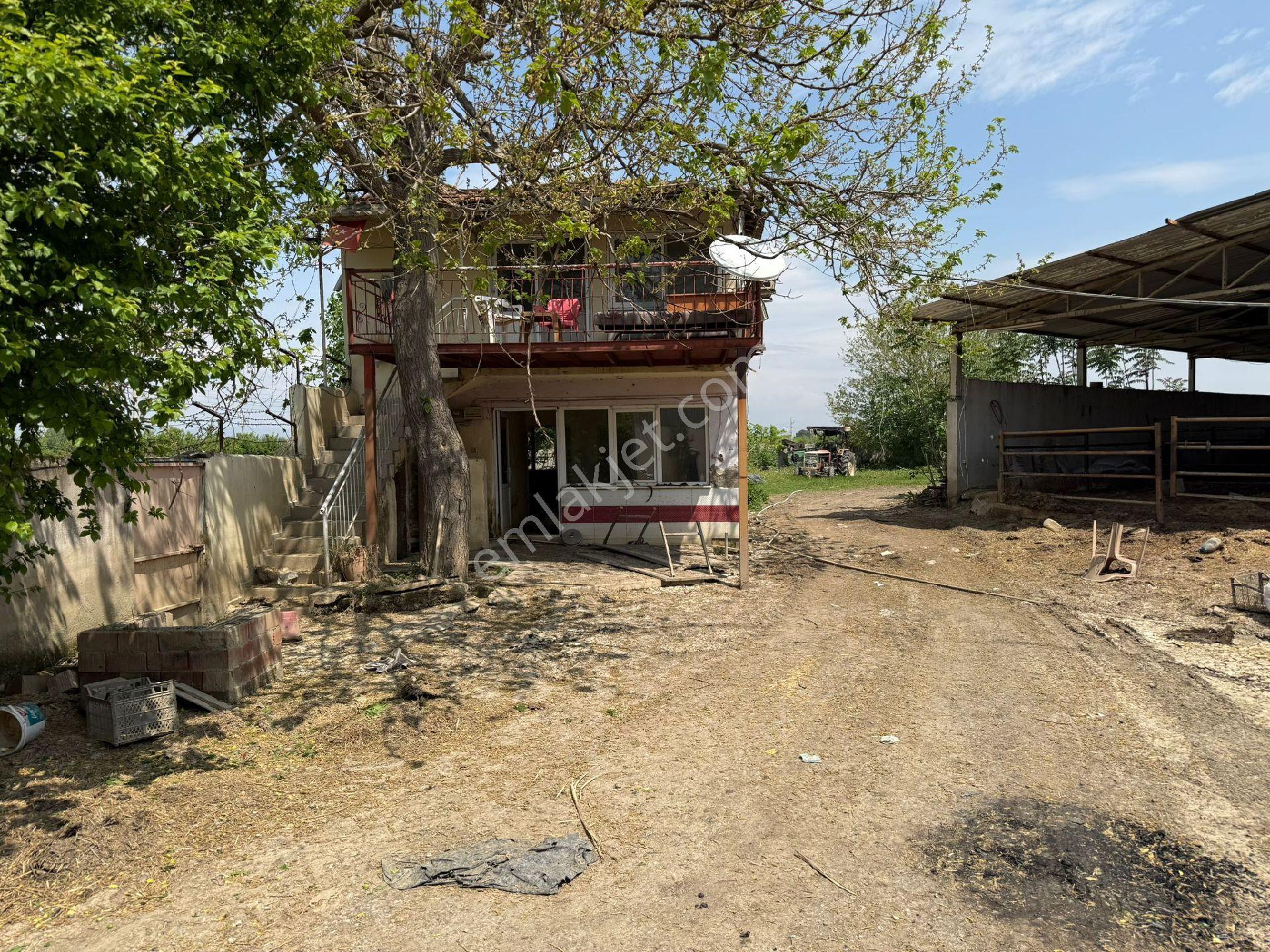 Manisa Şehzadeler Kazım Karabekir Satılık Çiftlik Bağ Besi Yeri - Görsel 4