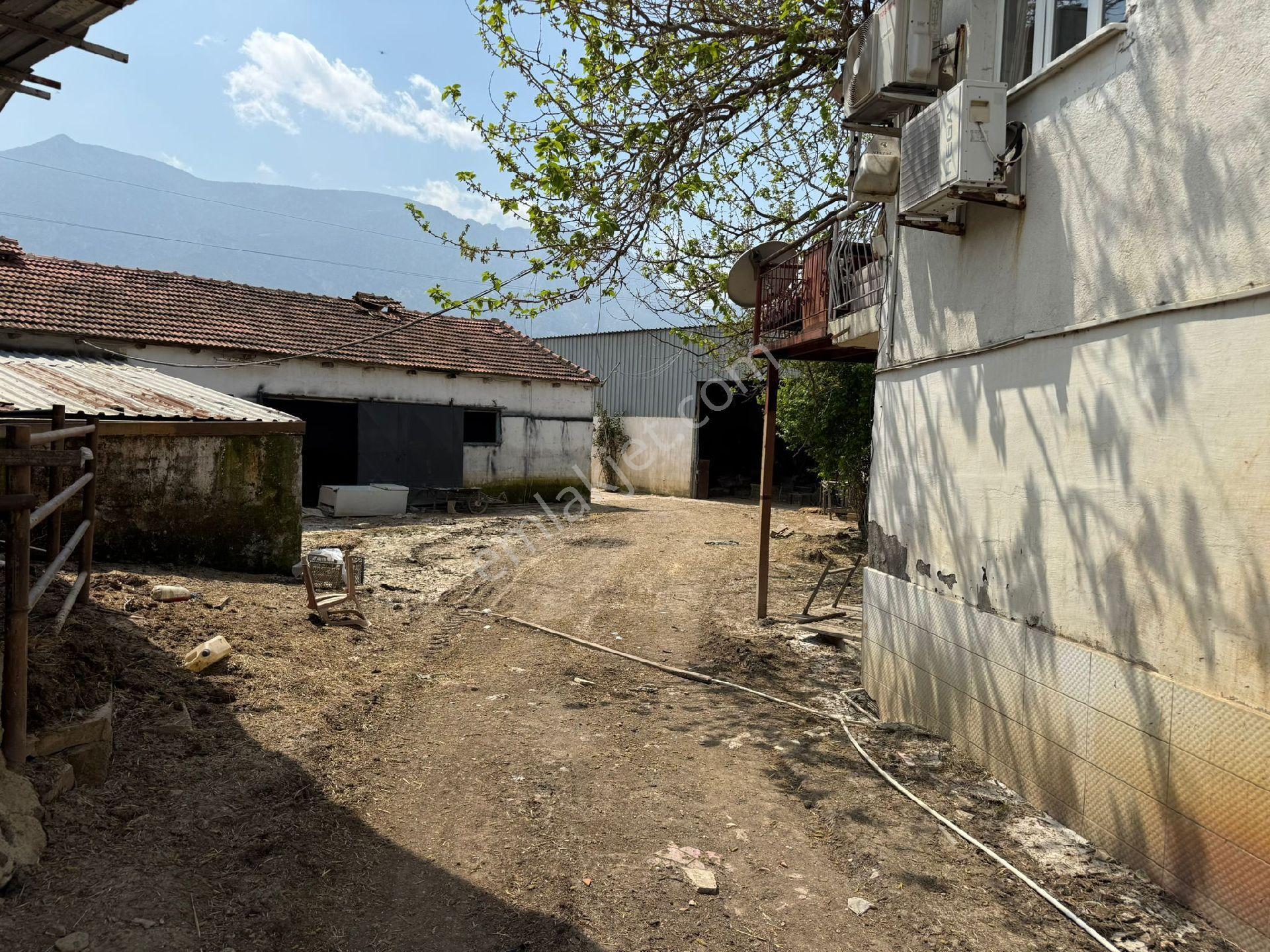Manisa Şehzadeler Kazım Karabekir Satılık Çiftlik Bağ Besi Yeri - Görsel 15