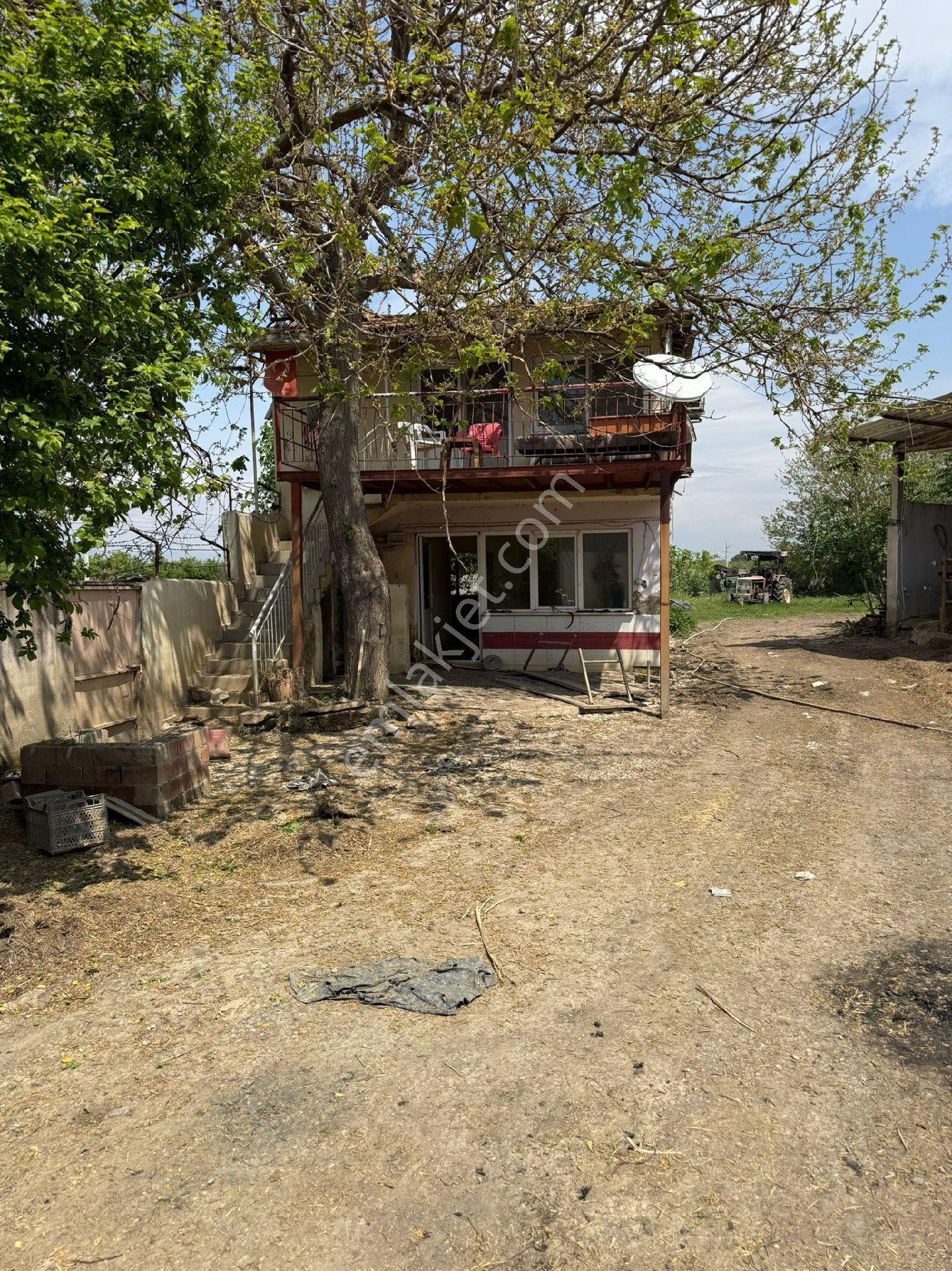 Manisa Şehzadeler Kazım Karabekir Satılık Çiftlik Bağ Besi Yeri - Görsel 3