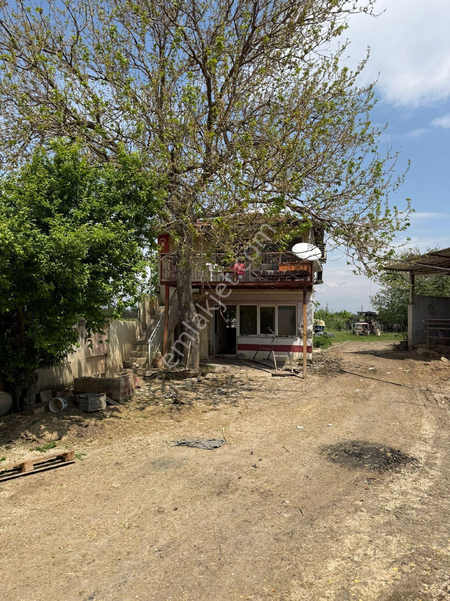 Manisa Şehzadeler Kazım Karabekir Satılık Çiftlik Bağ Besi Yeri - Görsel 19