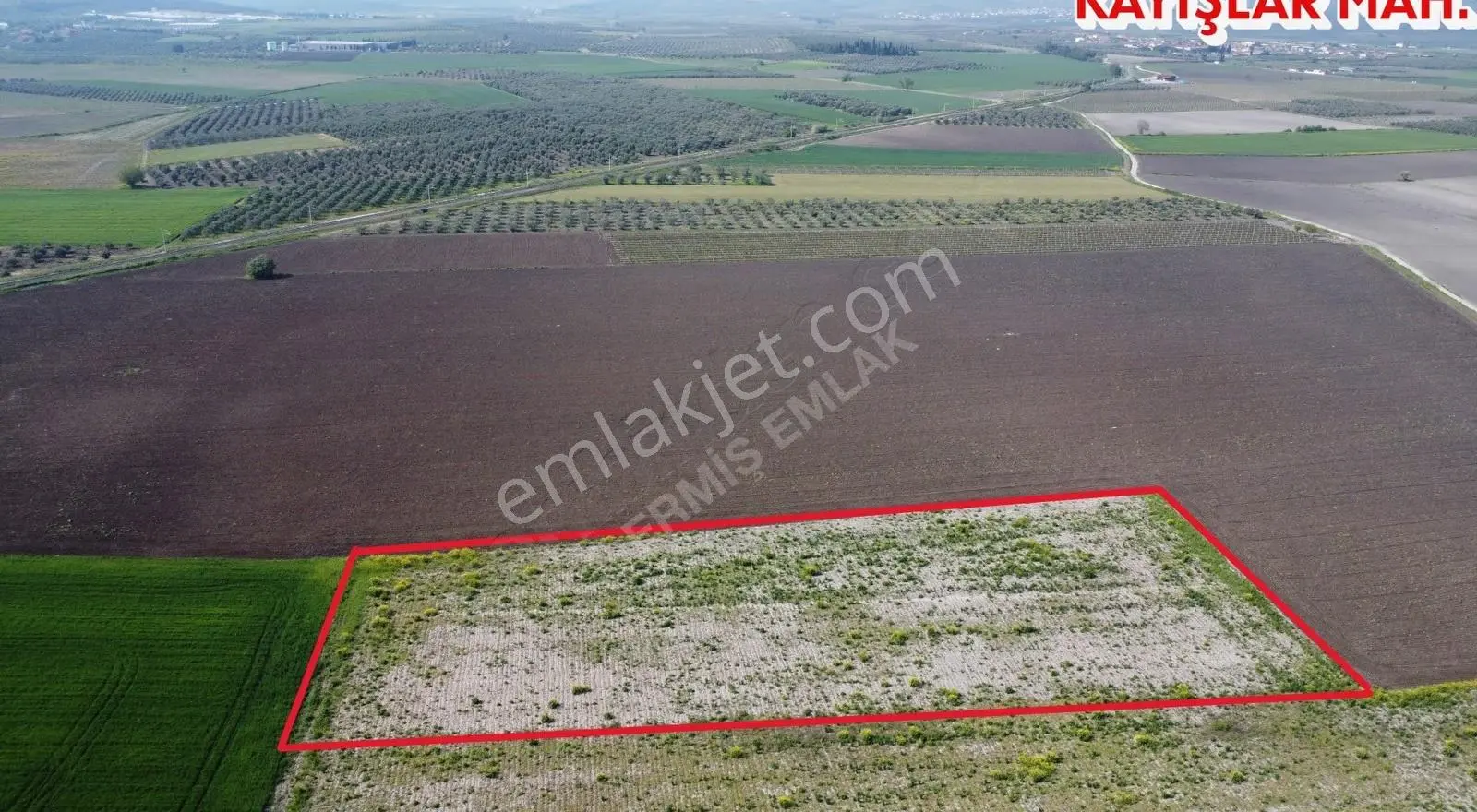 Saruhanlı'da 9 Dönüm Düz Satılık Tarla - Yola Yakın