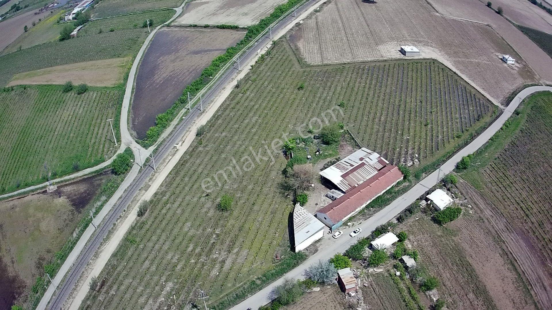 Manisa Şehzadeler Kazım Karabekir 4384 M2 Satılık Bağ - Görsel 4