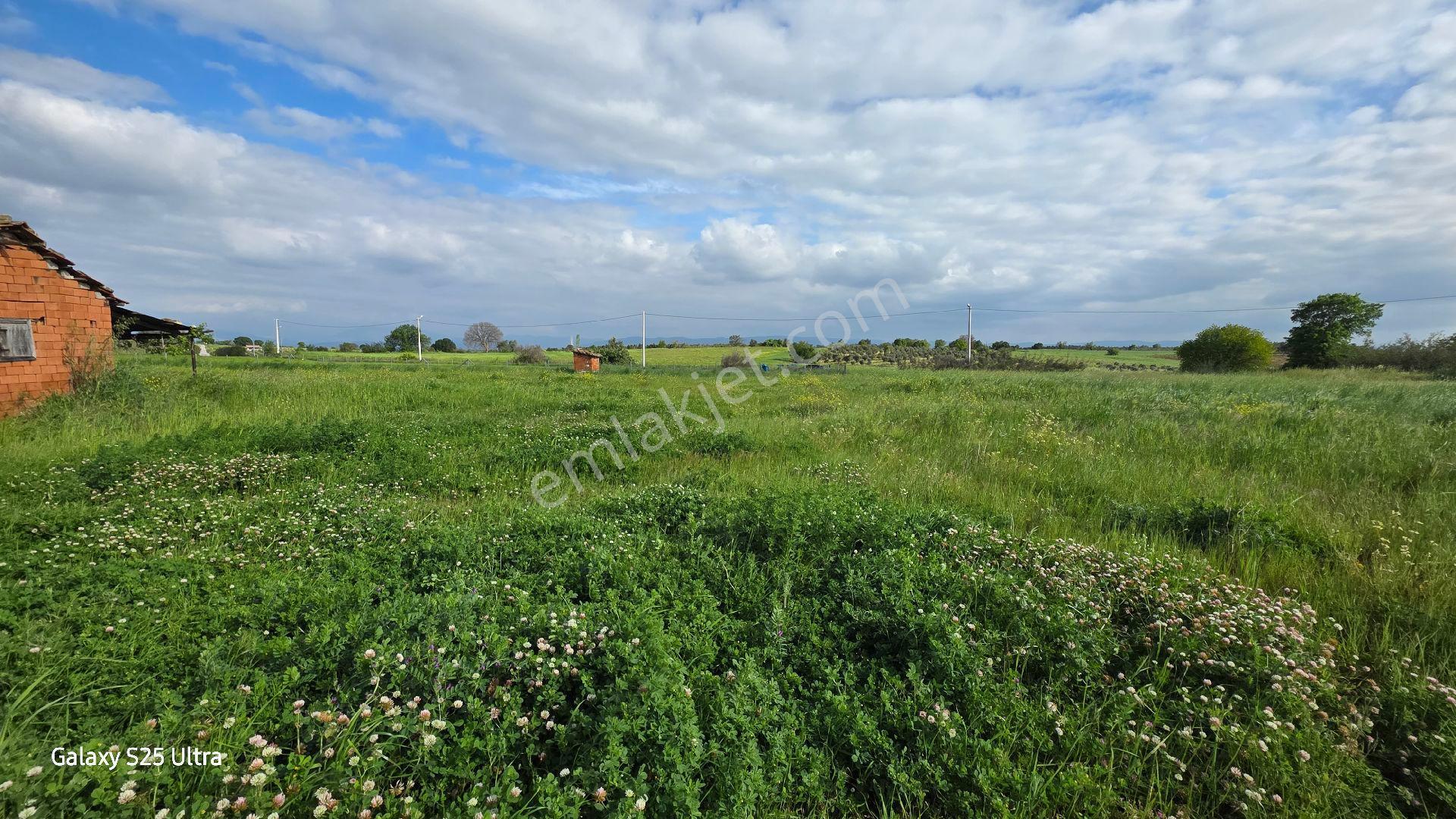 İzmir Bergama Çamtepe Mah.satılık Tarım İmarlı Arazi - Görsel 16