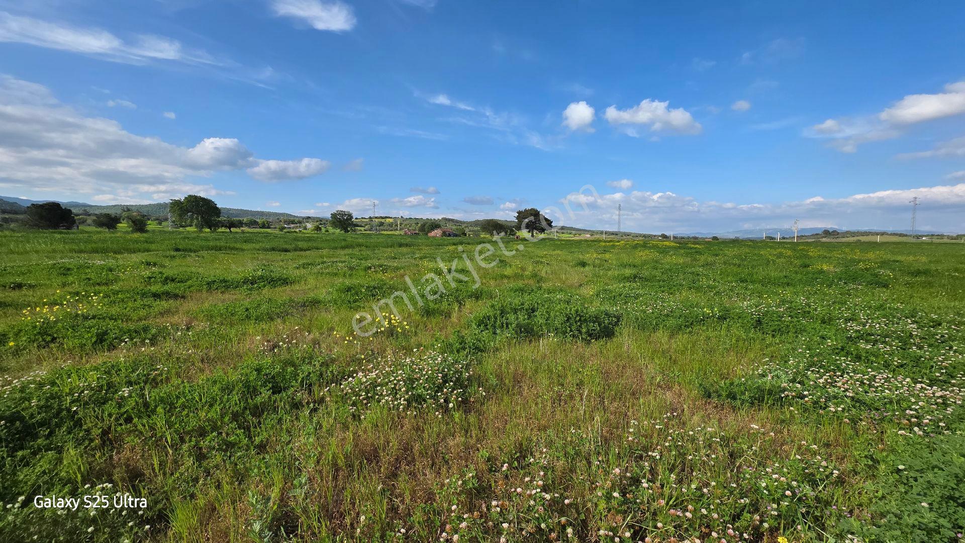 İzmir Bergama Çamtepe Mah.satılık Tarım İmarlı Arazi - Görsel 21