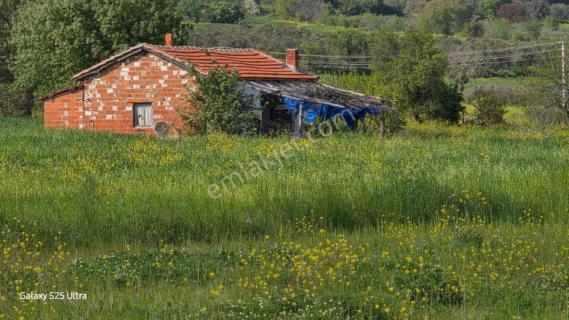 İzmir Bergama Çamtepe Mah.satılık Tarım İmarlı Arazi