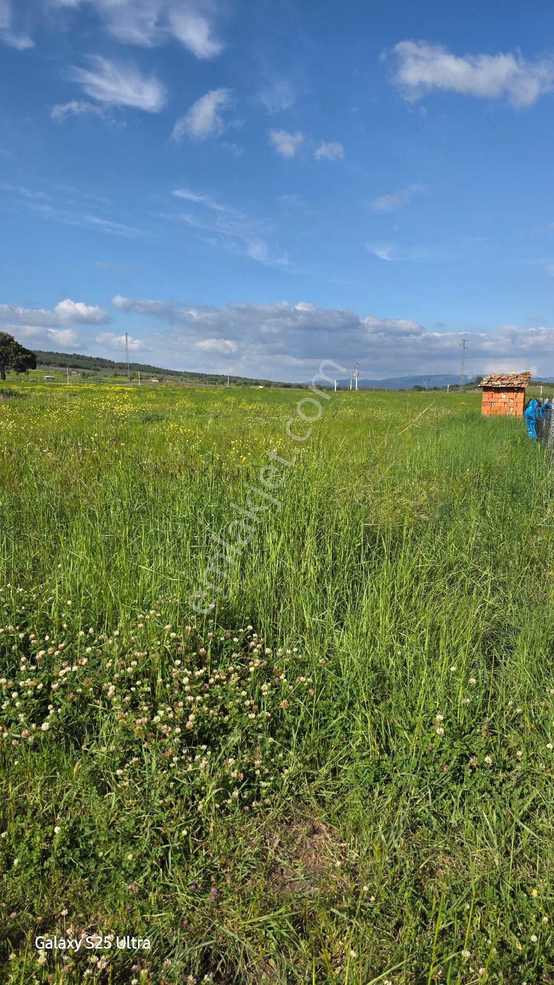 İzmir Bergama Çamtepe Mah.satılık Tarım İmarlı Arazi - Görsel 2