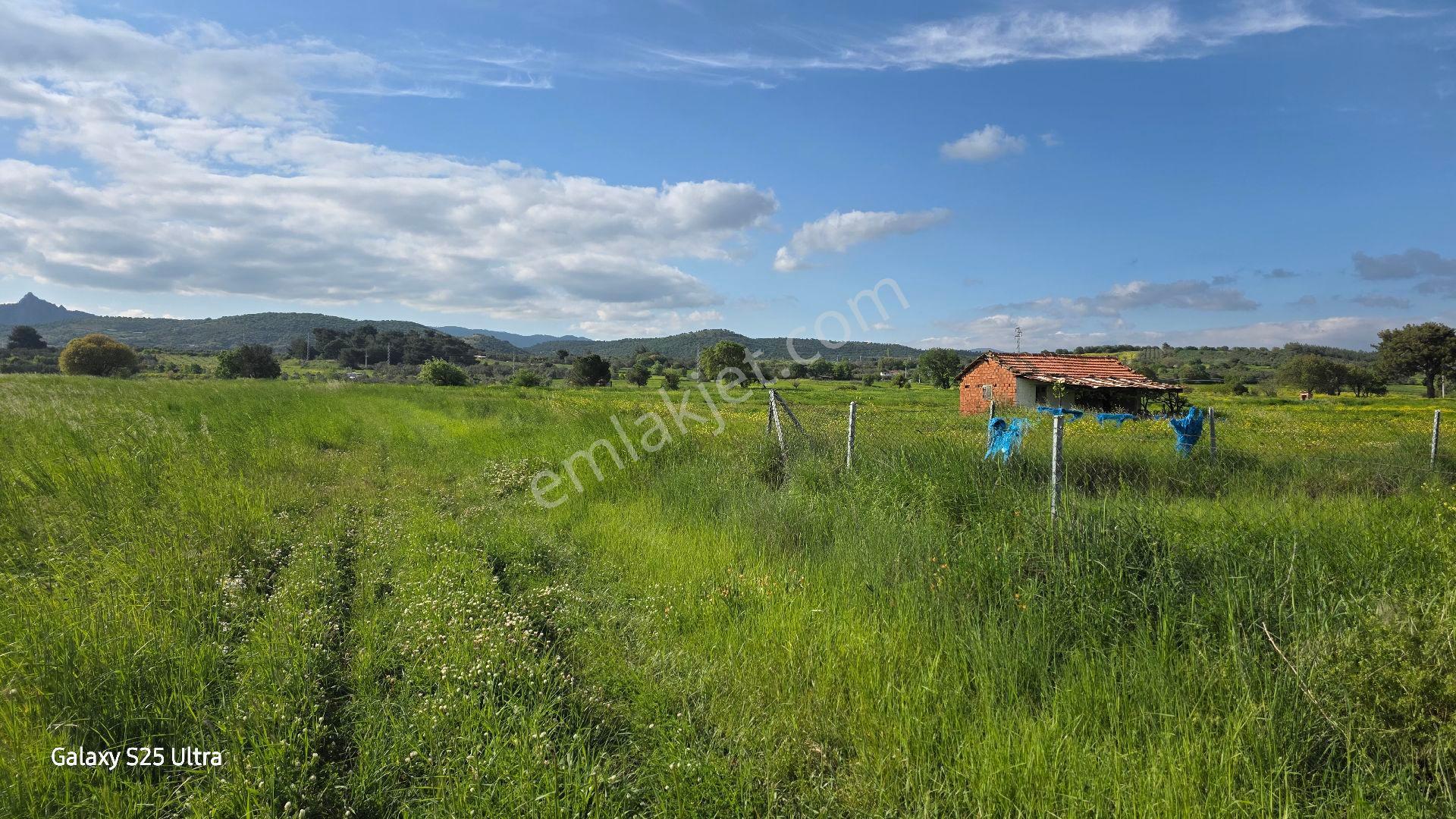 İzmir Bergama Çamtepe Mah.satılık Tarım İmarlı Arazi - Görsel 5