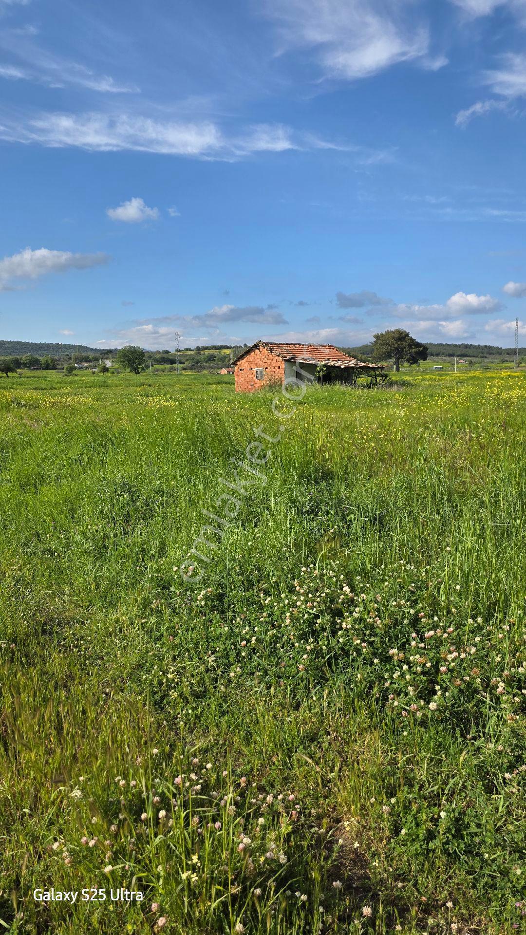 İzmir Bergama Çamtepe Mah.satılık Tarım İmarlı Arazi - Görsel 4