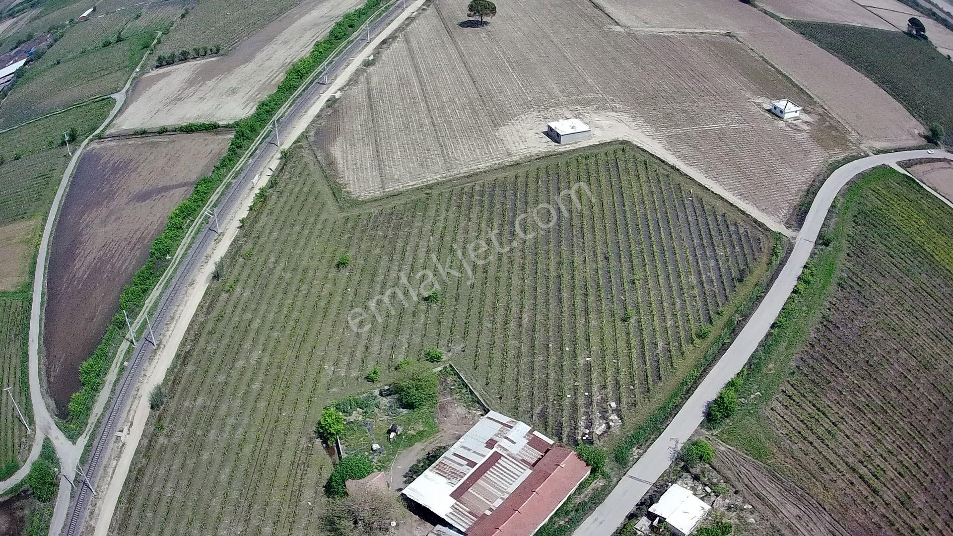 Manisa Şehzadeler Kazım Karabekir 4779 M2 Satılık Bağ - Görsel 2