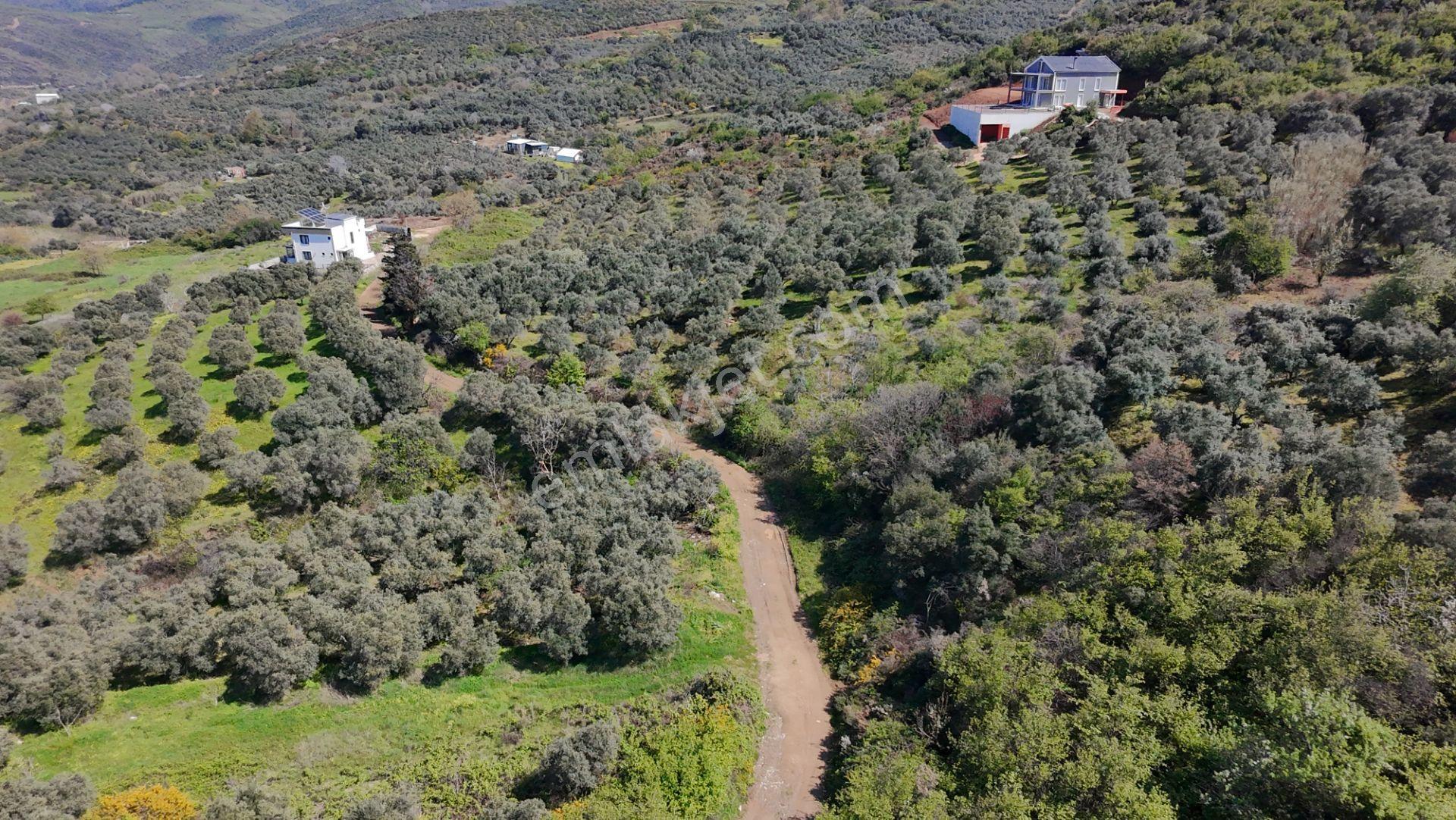 Balıkesir Bandırma Sahil Yenice Mah. 1.653 M2 Satılık Tarla Deniz Manzaralı Yatırımlık - Görsel 4