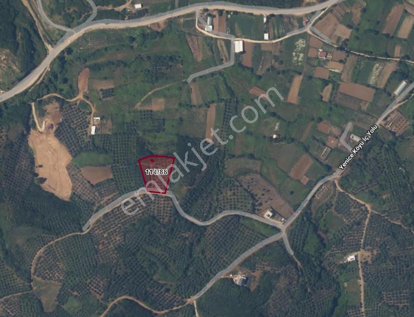 Balıkesir Bandırma Sahil Yenice Mah. 1.653 M2 Satılık Tarla Deniz Manzaralı Yatırımlık - Görsel 2