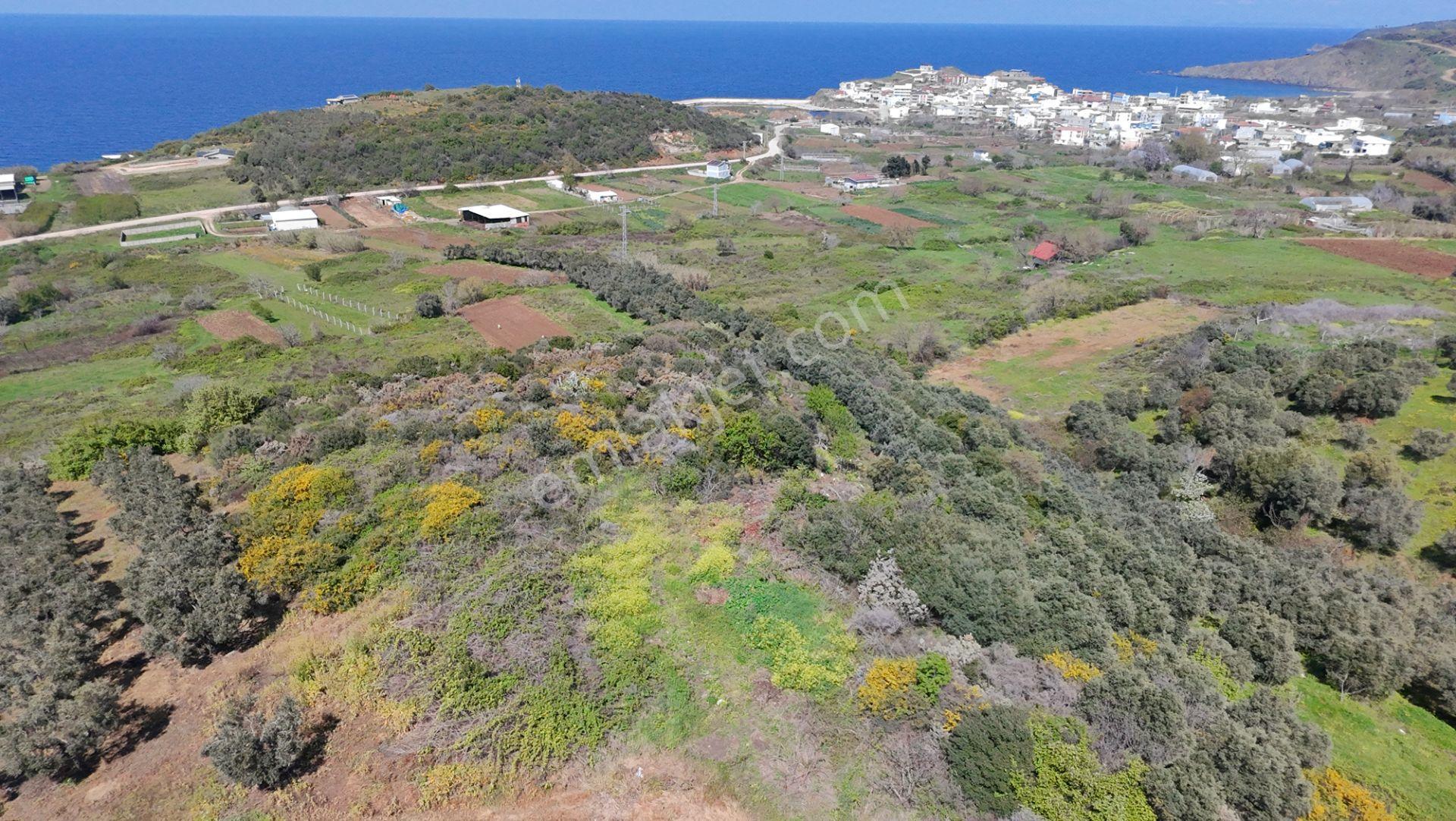 Balıkesir Bandırma Sahil Yenice Mah. 1.653 M2 Satılık Tarla Deniz Manzaralı Yatırımlık - Görsel 3
