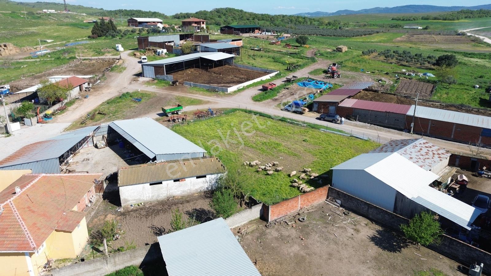 Muhtarımdan Alaettin Mah Satılık 950 M2 Arsa - Görsel 25