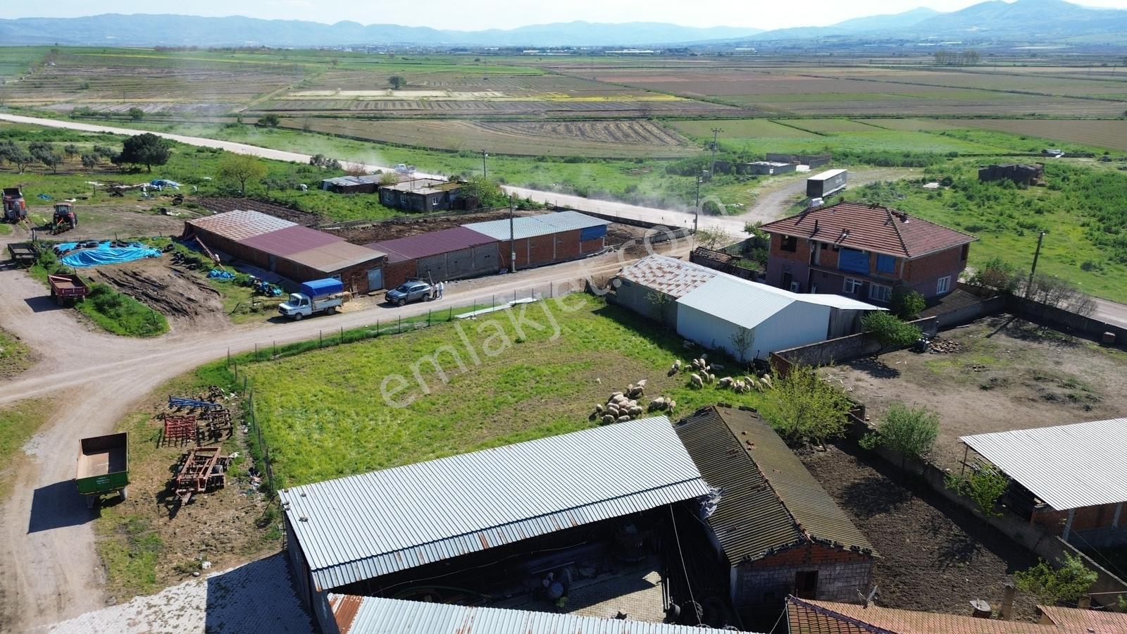 Muhtarımdan Alaettin Mah Satılık 950 M2 Arsa - Görsel 16