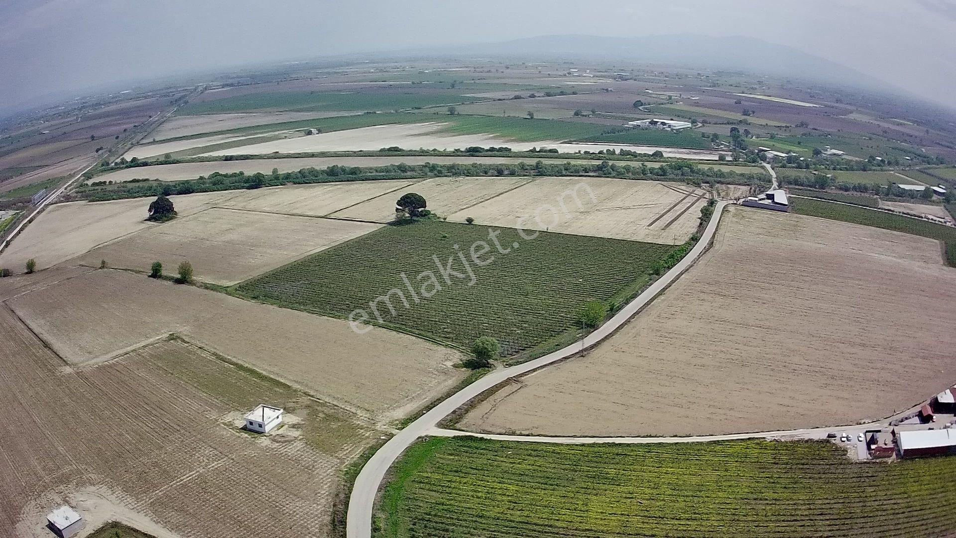 Manisa Şehzadeler Kazım Karabekir 33777 M2 Satılık Bağ - Görsel 2