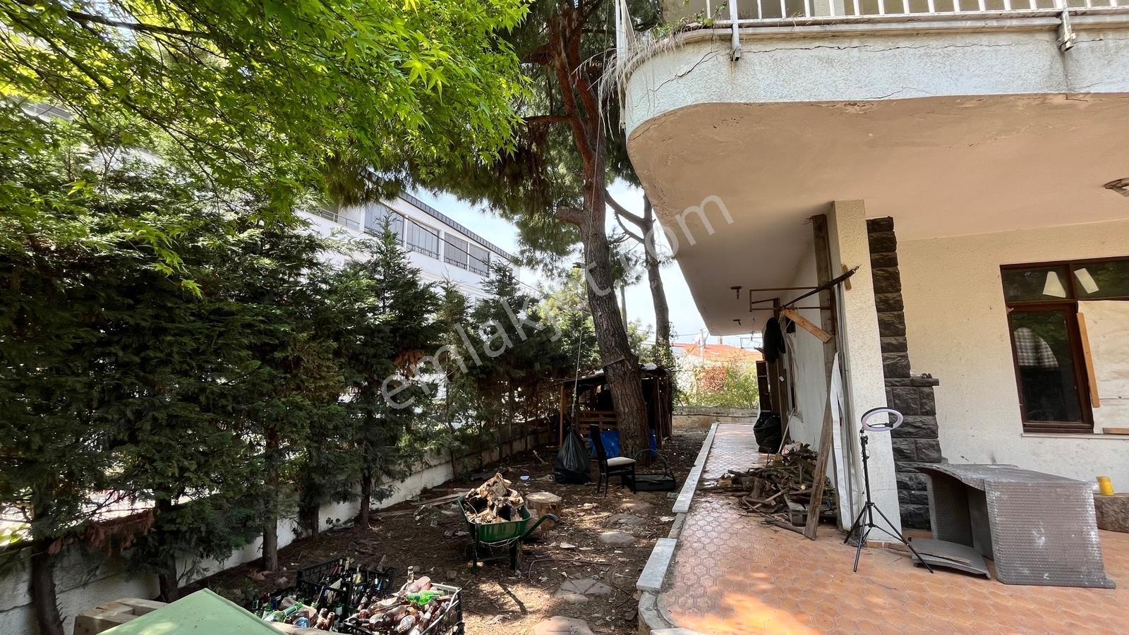 Bayramoğlu Yarımada İçinde Denize 100m Köşe Parsel Müstakilvilla - Görsel 2