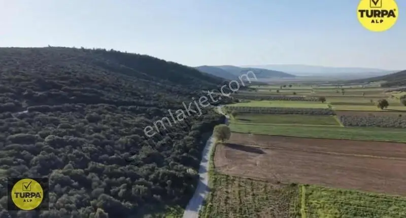 Mendereste Tek Tapu 506 M2 Fırsat Satılık - Görsel 4