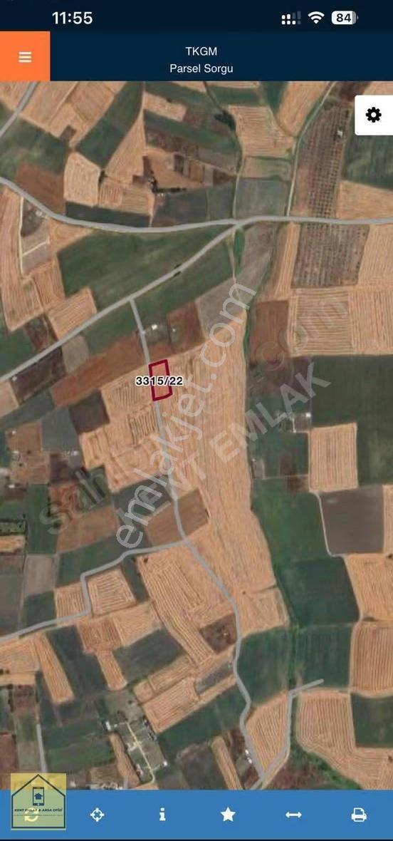 Sılıvrı Fener'de Tek Tapu 2 Dönüm Kadastro Yolu Cephe - Görsel 3