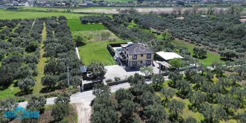 Akhisar Doğuca'da Hobi Bahçesine Uygun Tek Tapu Satılık Tarla - Görsel 3