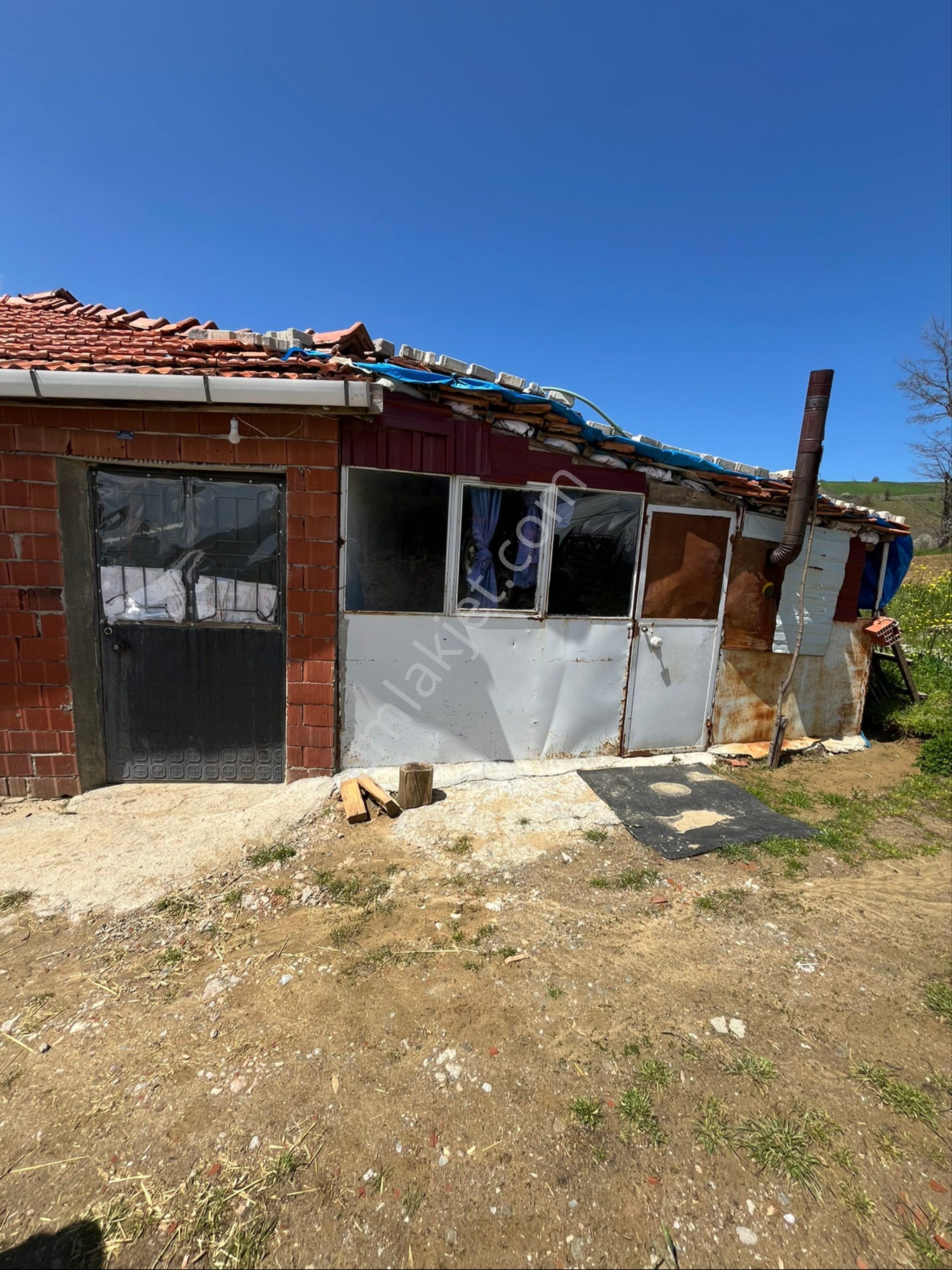 Sındırgı Yüreğil De 15 Büyük Baş Hayvan Kapasiteli Ahır - Görsel 18
