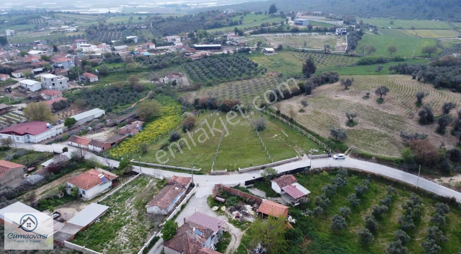 Cumaovası Emlaak Satılık Sancaklı'da Yol Üzeri Zeytinlik 1524m2 - Görsel 14