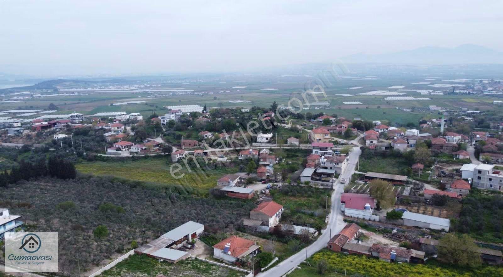 Cumaovası Emlaak Satılık Sancaklı'da Yol Üzeri Zeytinlik 1524m2 - Görsel 18