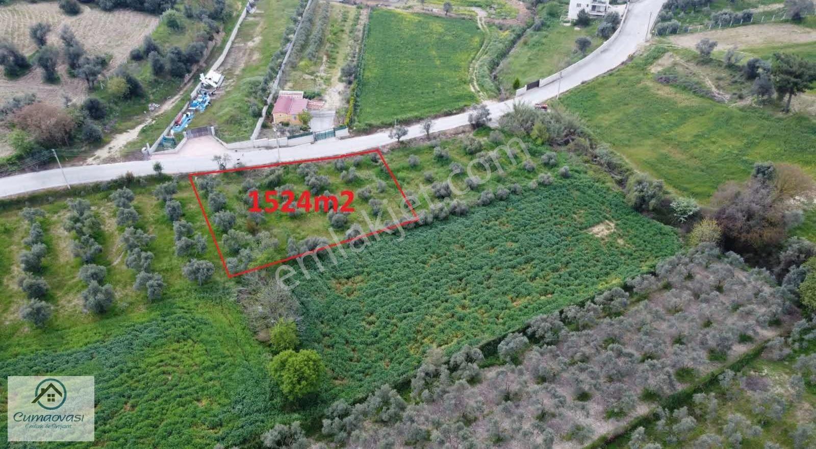 Cumaovası Emlaktan Satılık Sancaklıda Tapulu 1 Dönüm Zeytinlik - Görsel 15