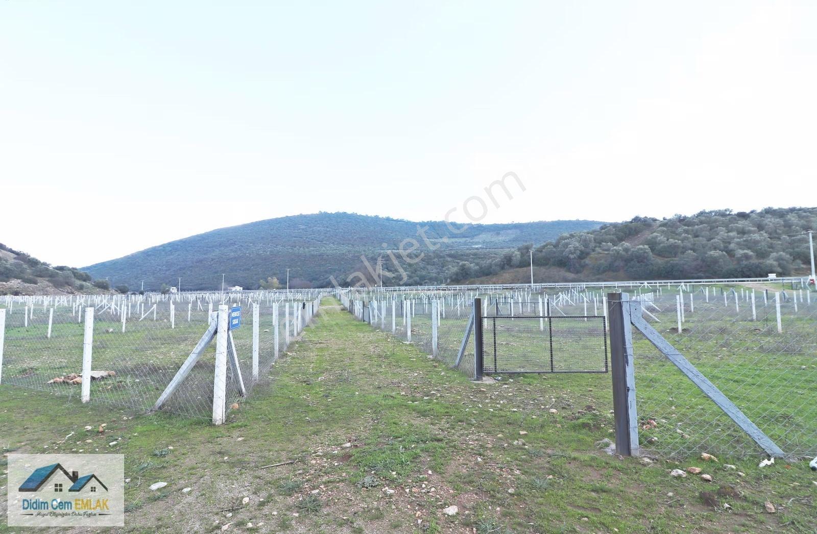 Bodrum Yoluna Sıfır Ticari Hisseli Satılık 240 M2 Arsa - Görsel 14