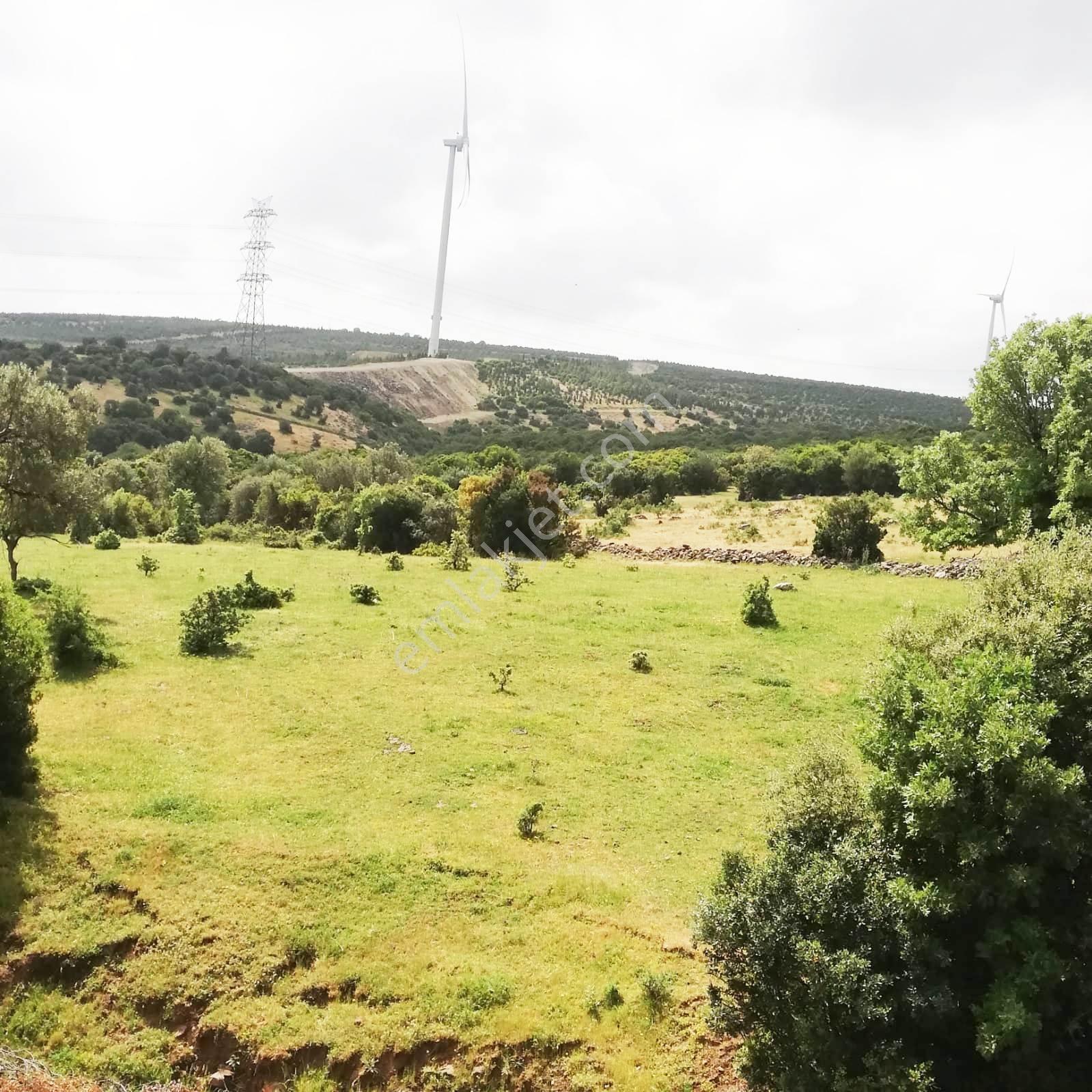 Bergama Kızıltepede Yolu Mevcut,res Ve Ges Arzisi-61000 M2-