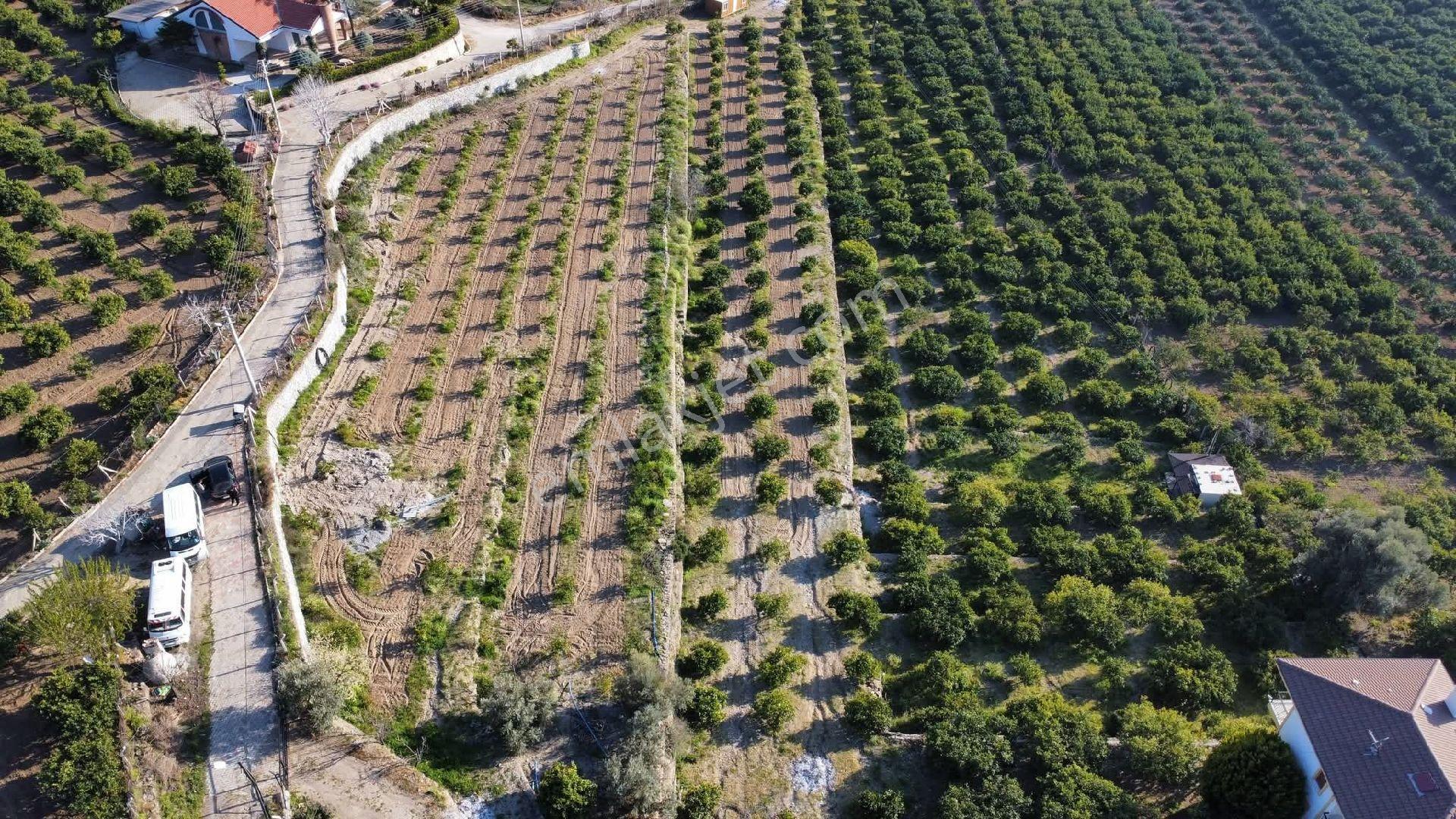 İzmir Mendere Özdere De Rakipsiz Arsa - Görsel 11