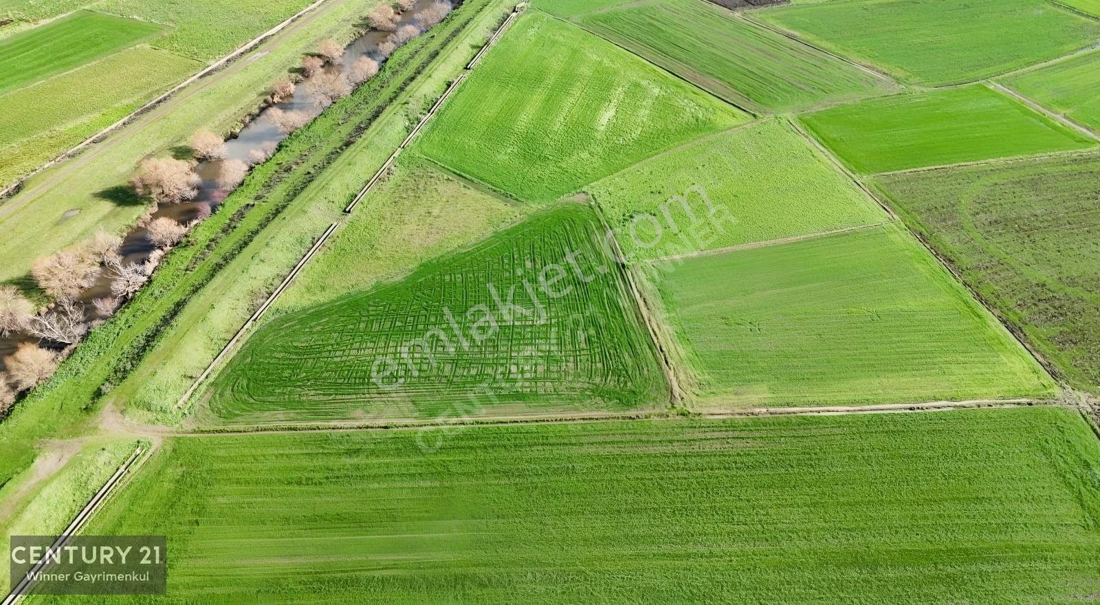 C21 Winner Yakupköy Mahallesi 2.533m² Satılık Tarla - Görsel 4